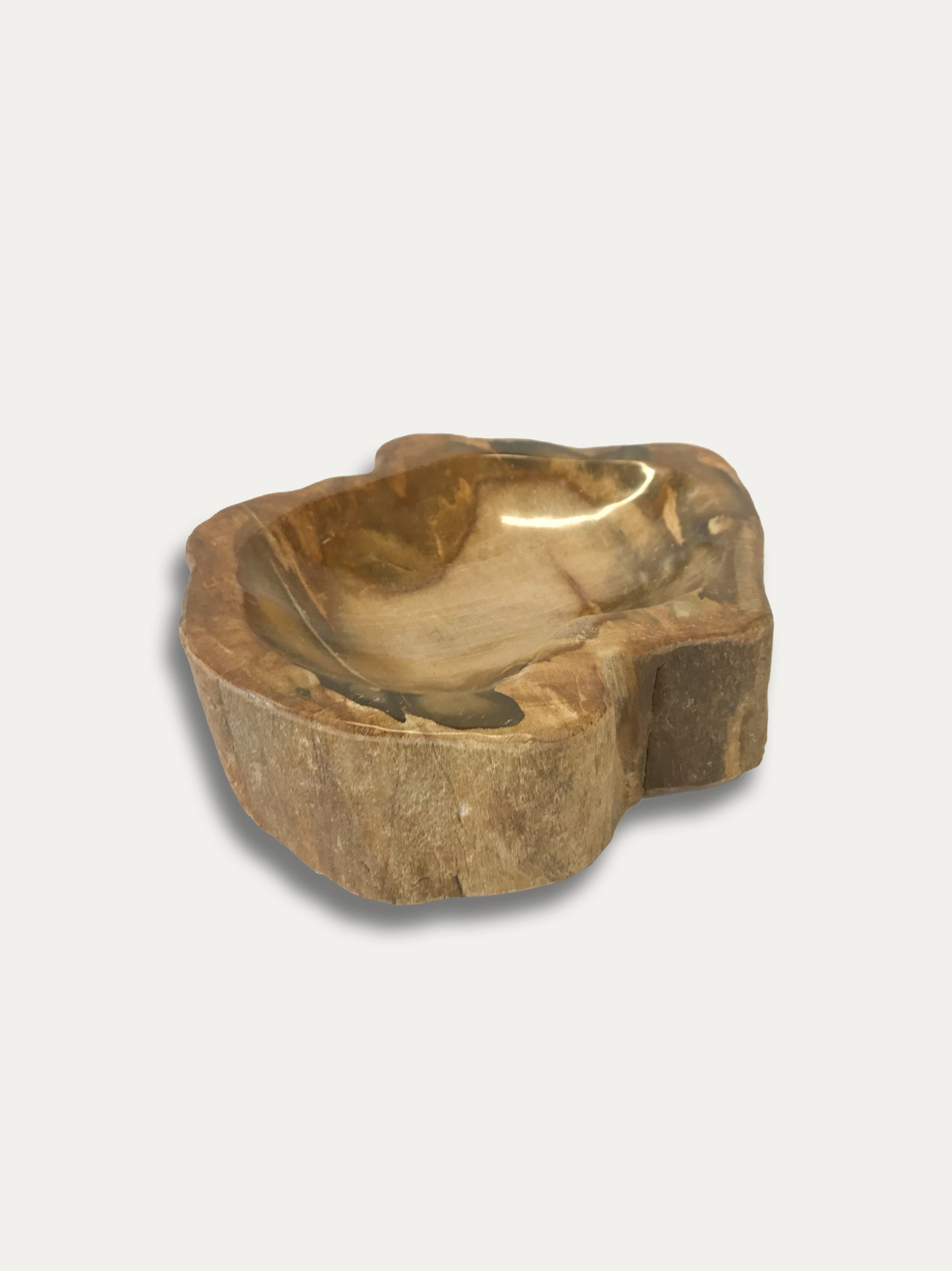 Petrified Wood Bowl