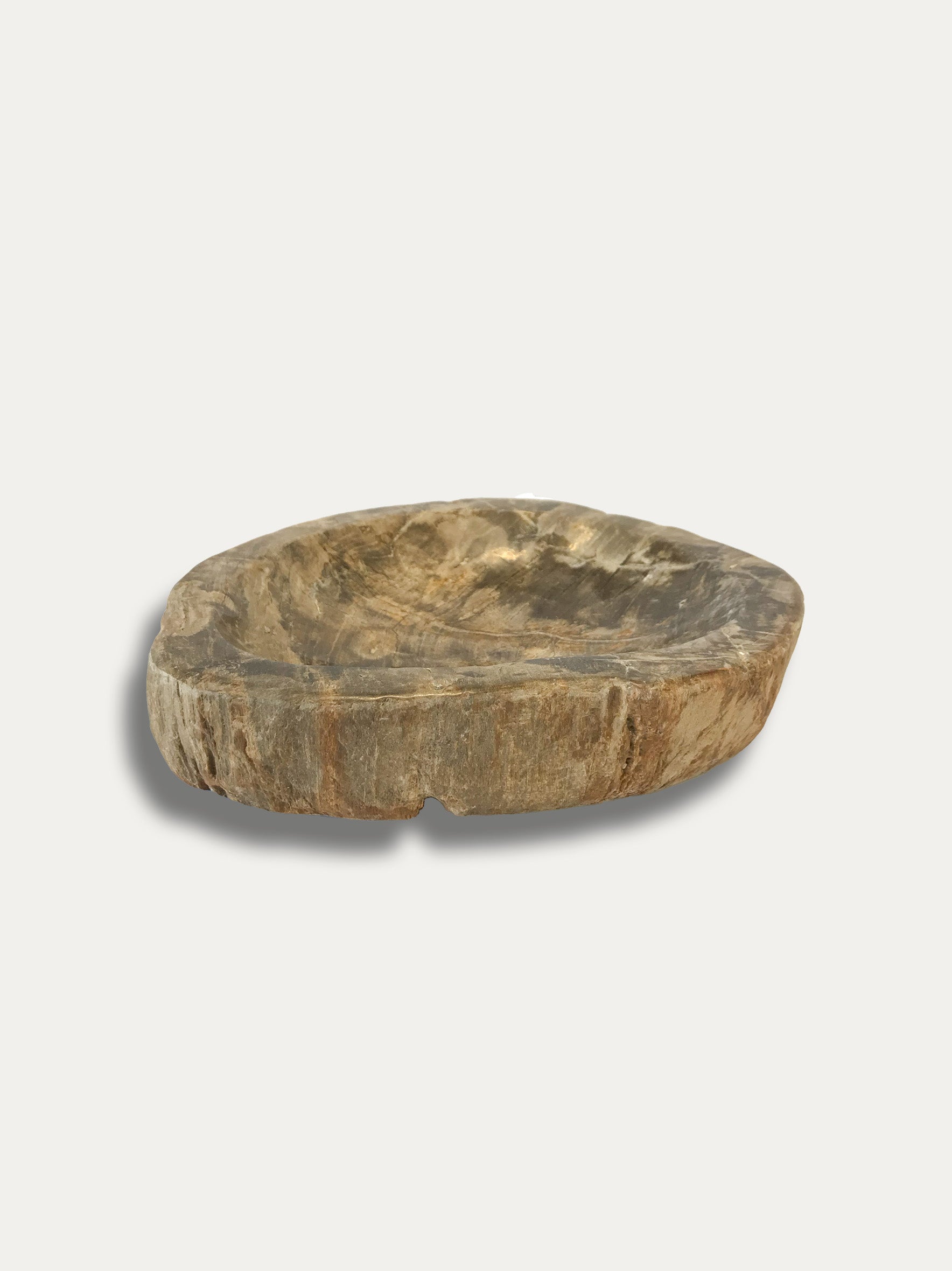 fossilized wood bowl
