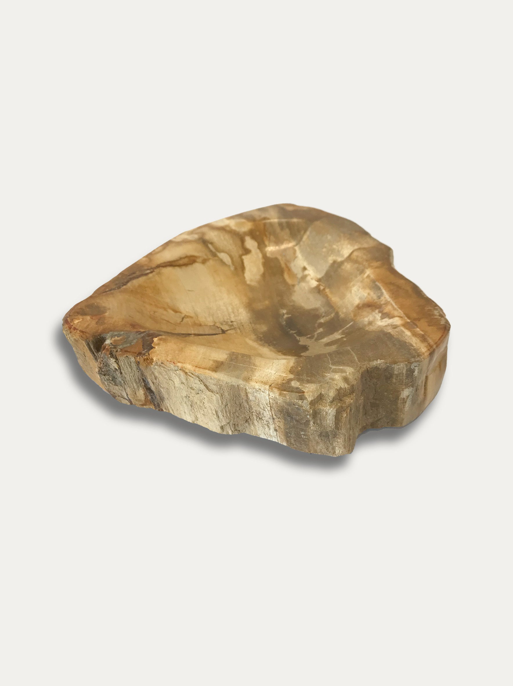 Petrified Wood Bowl