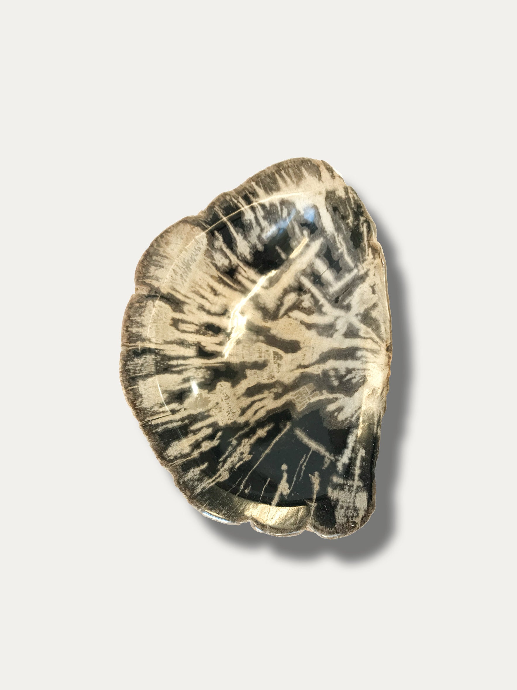 Petrified wood bowl