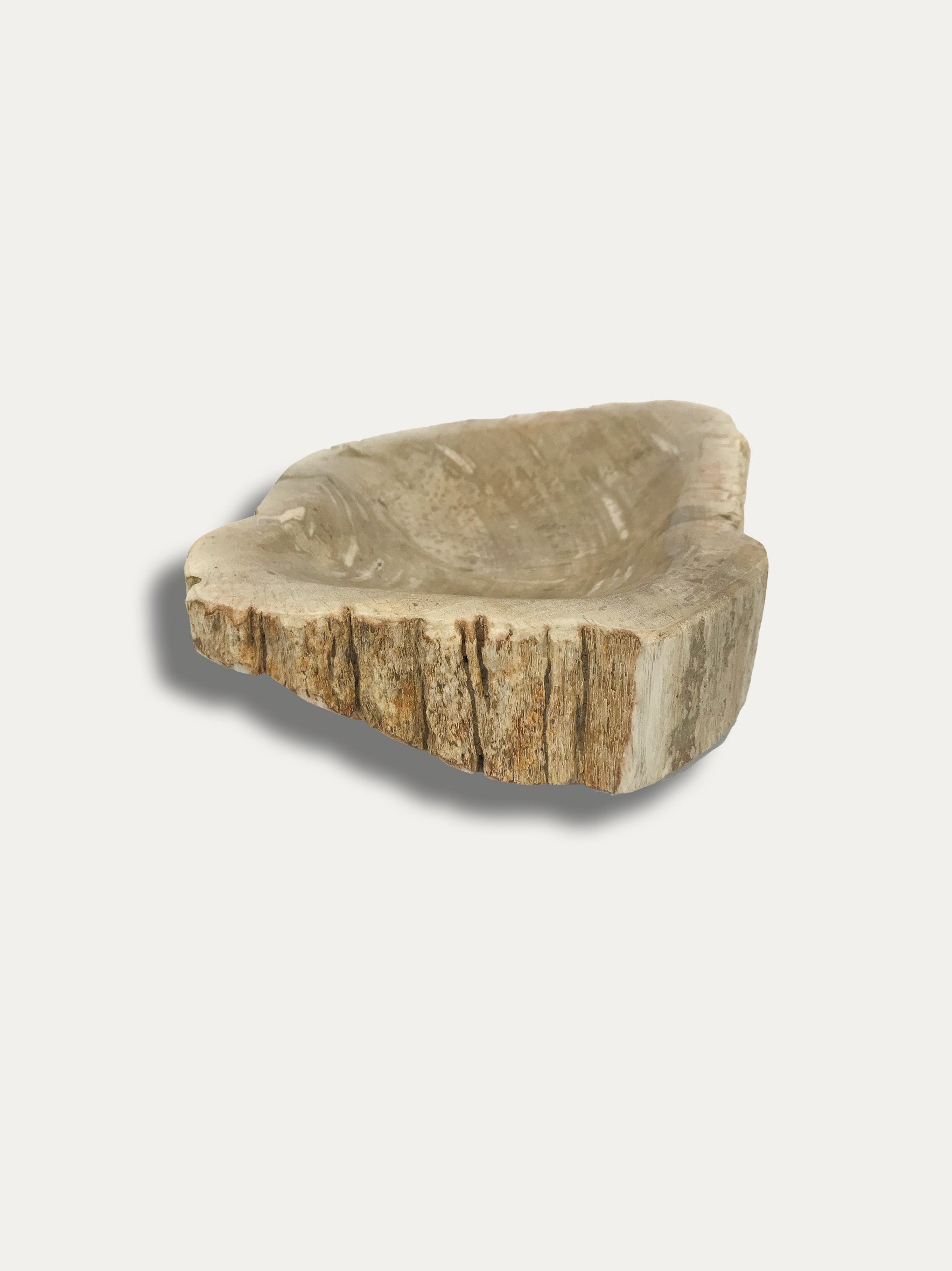 Petrified Wood Bowl