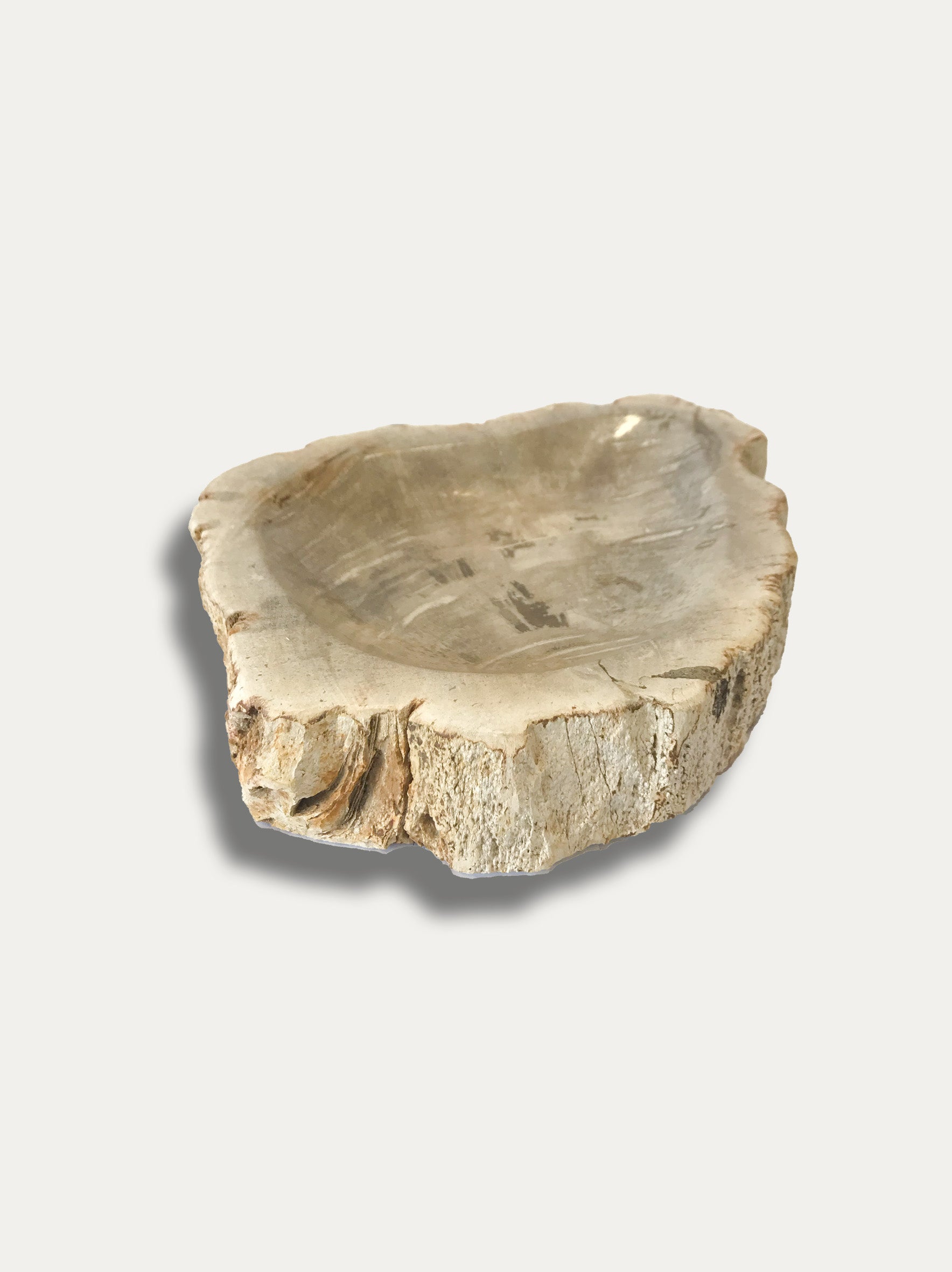 Petrified Wood Bowl