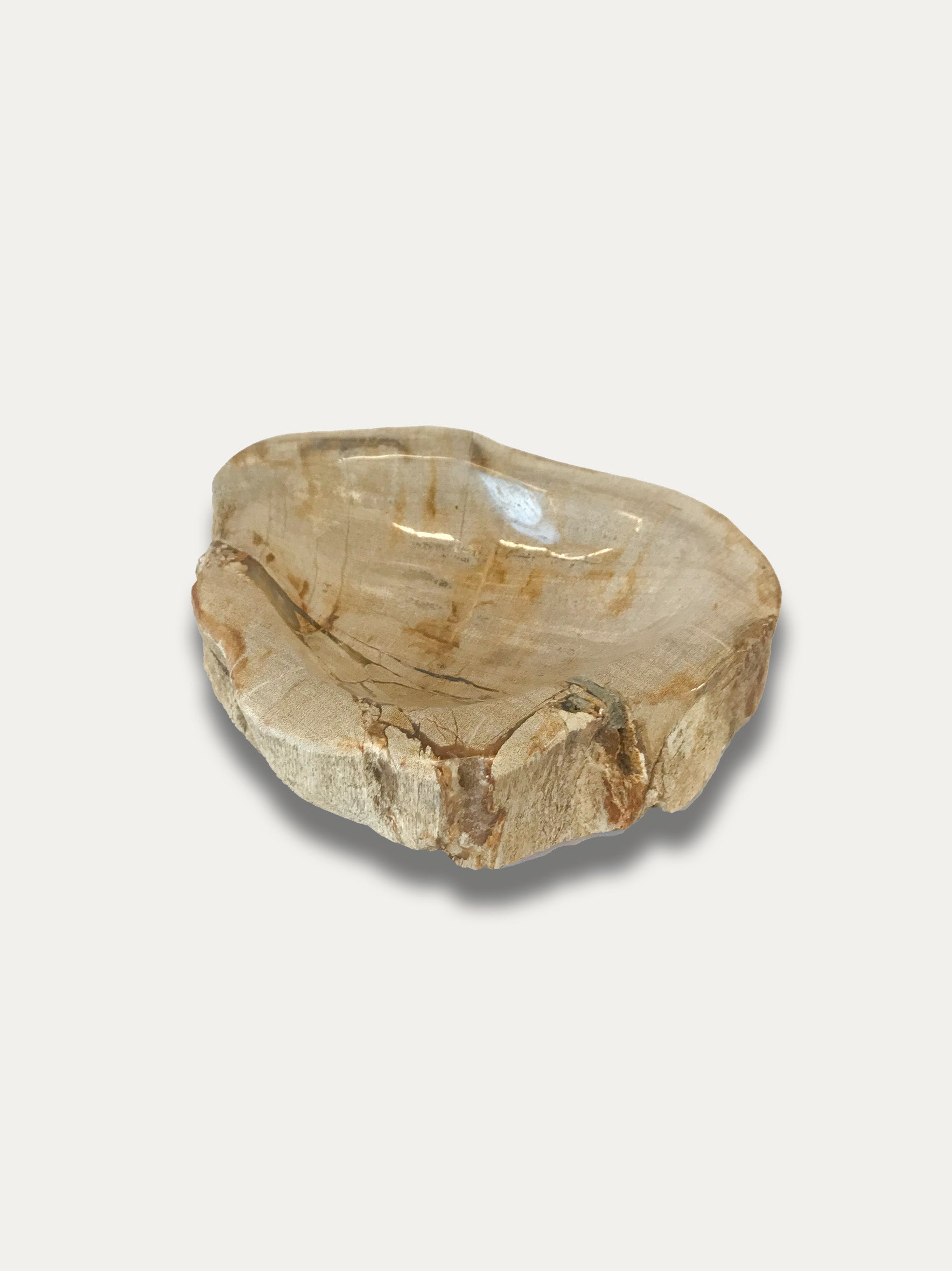 Fossilized wood bowl