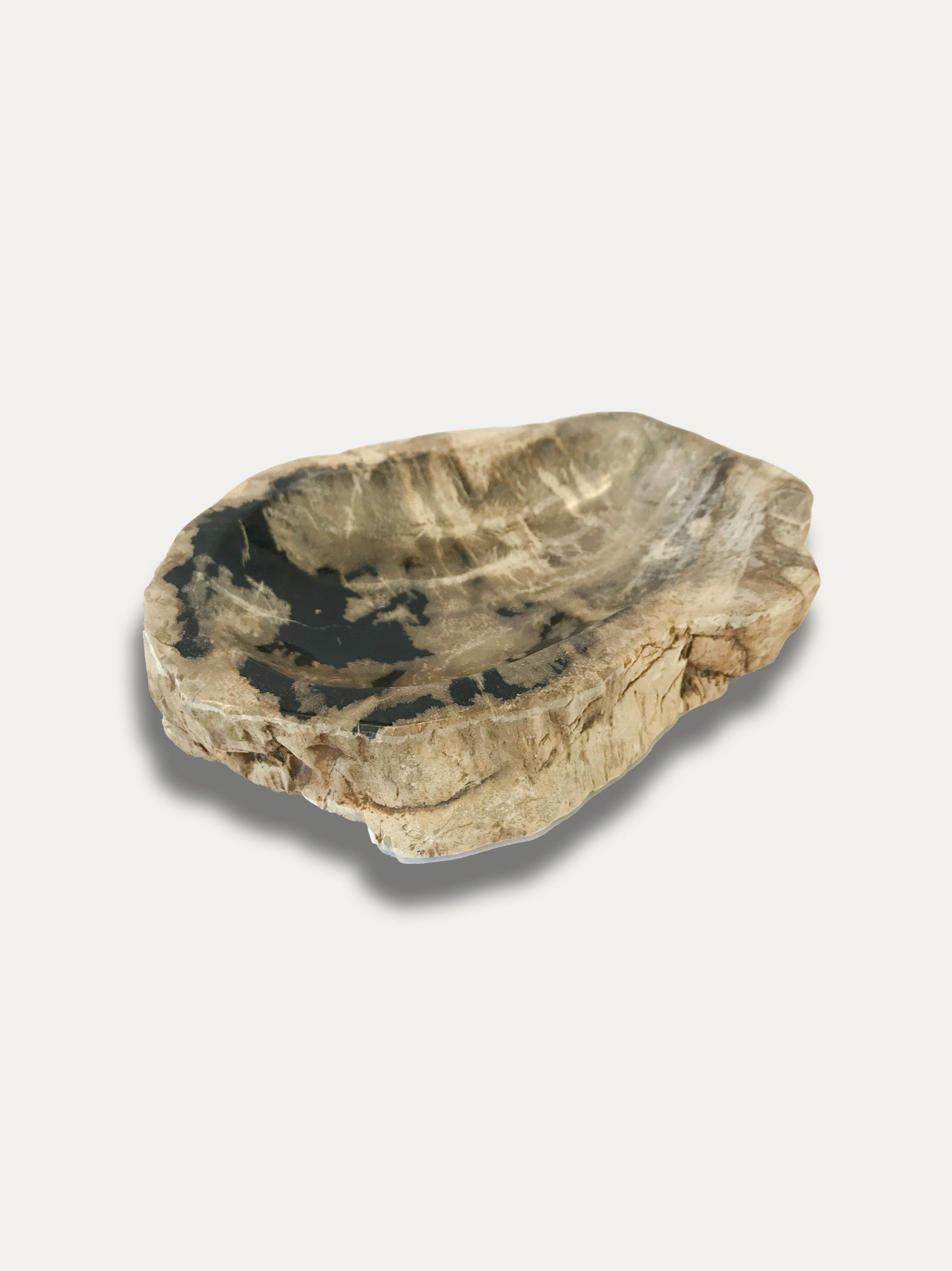 Fossilized wood bowl