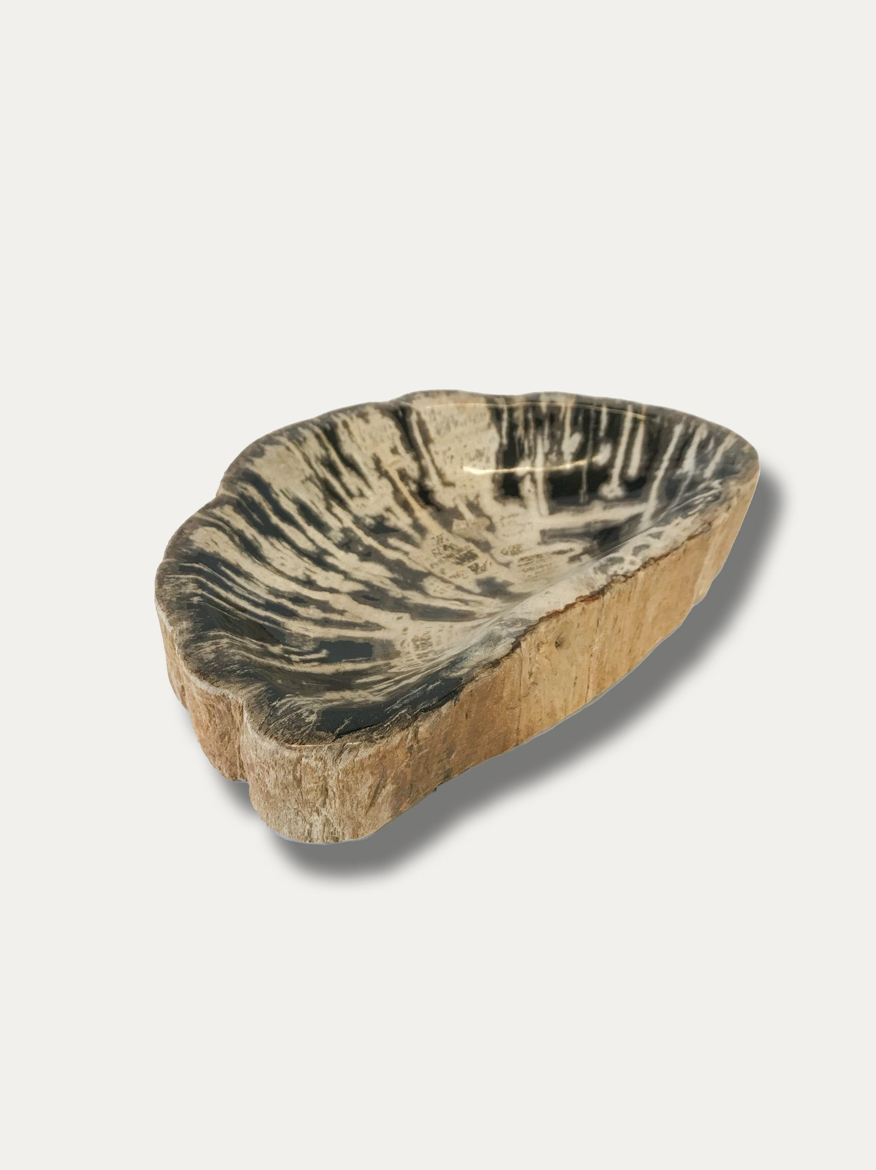 Fossilized wood bowl