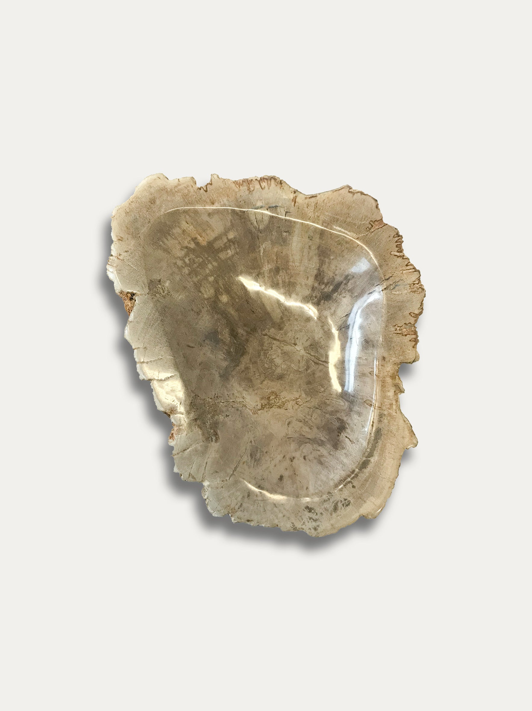 Petrified Wood Bowl