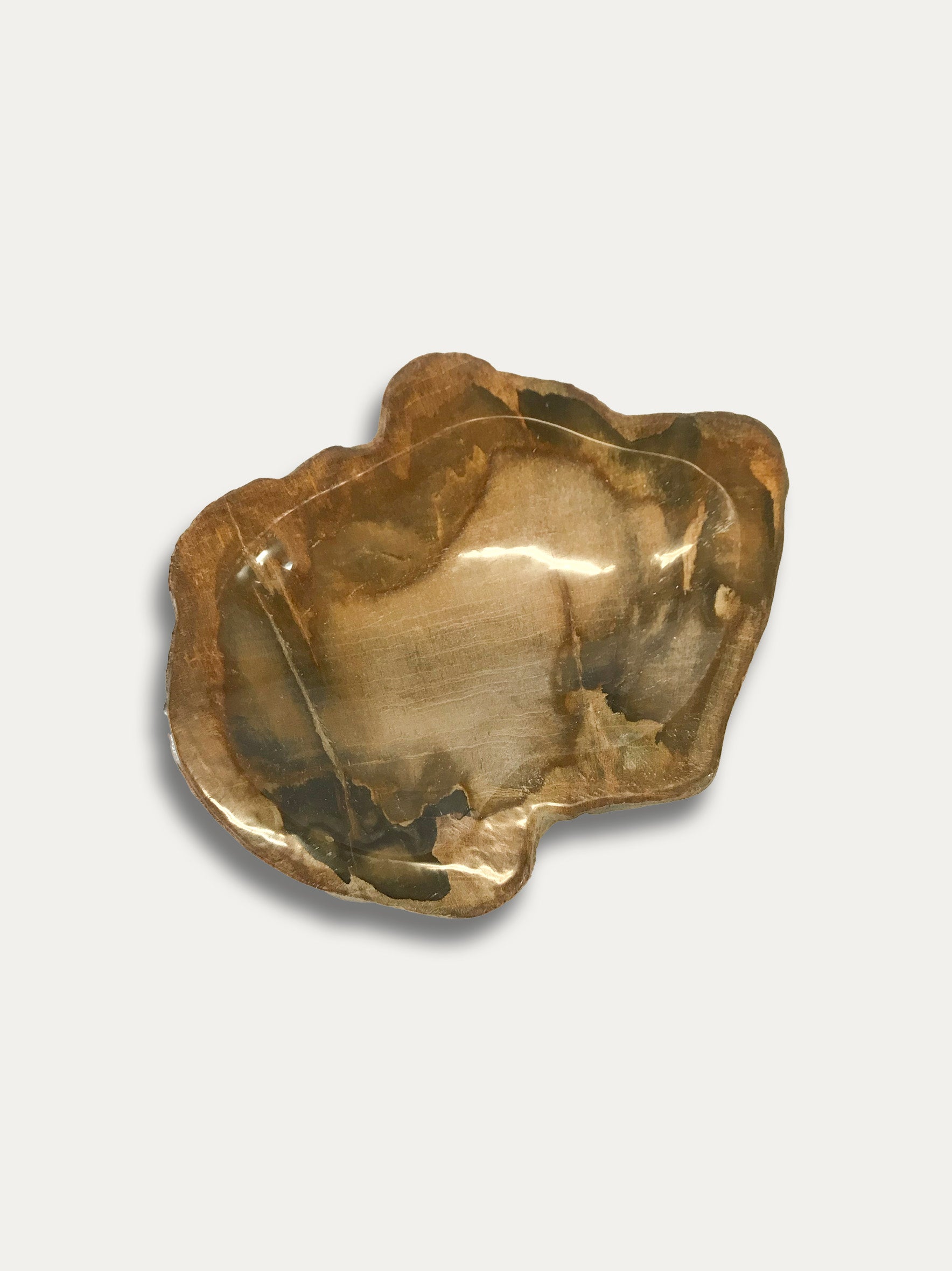 Petrified Wood Bowl