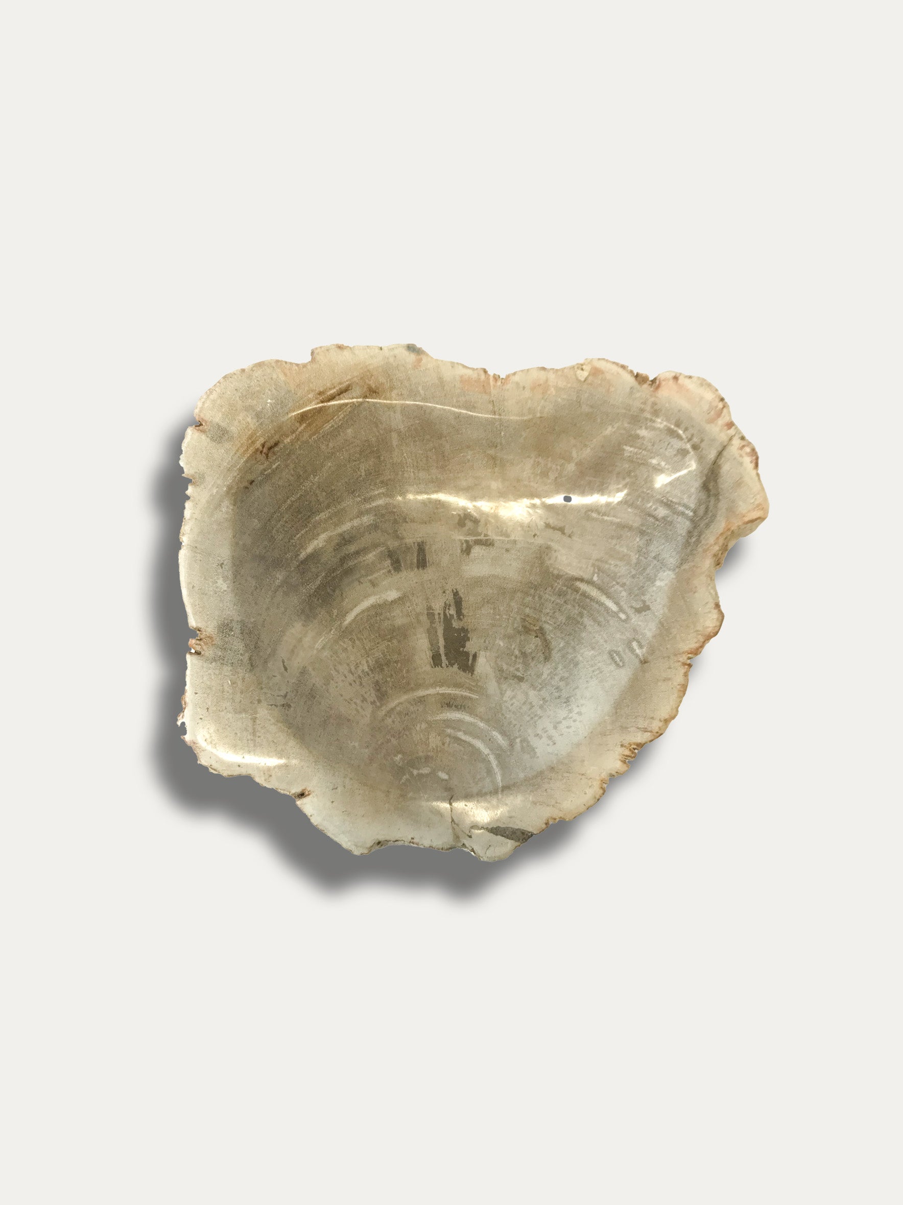 Petrified Wood Bowl