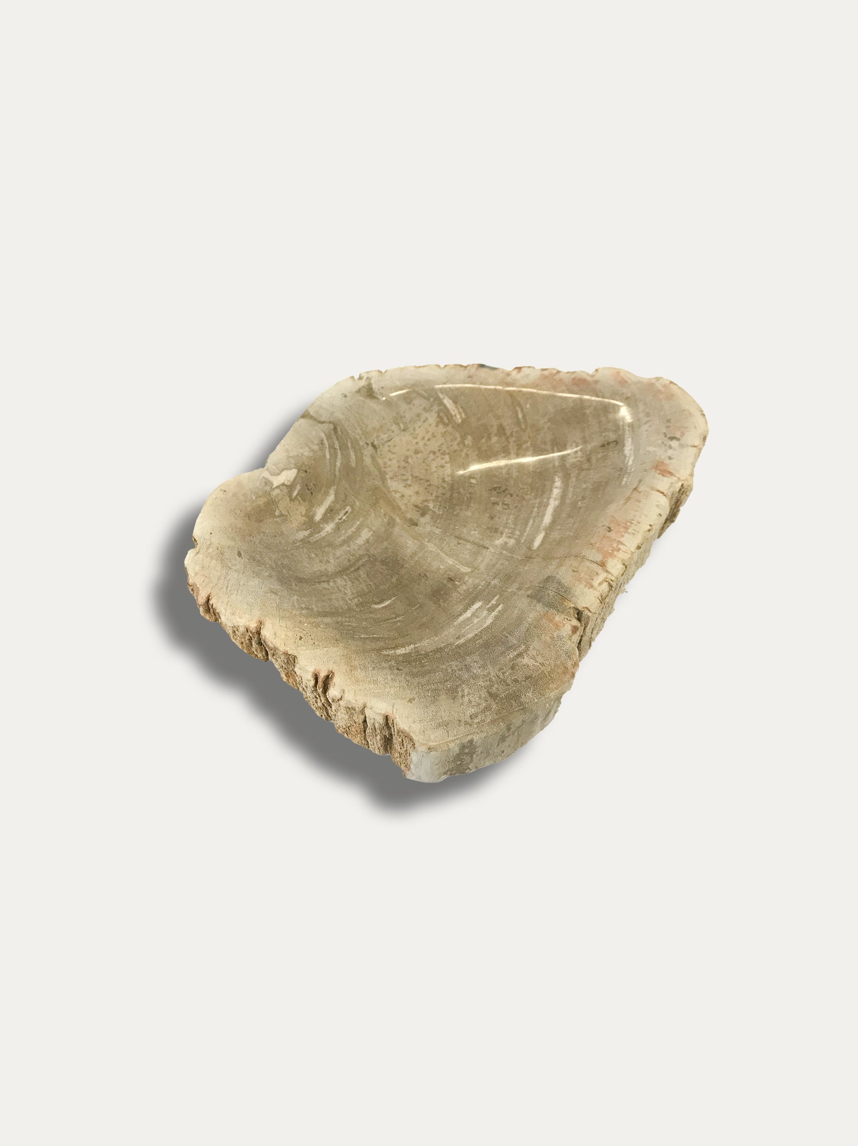 Petrified Wood Bowl