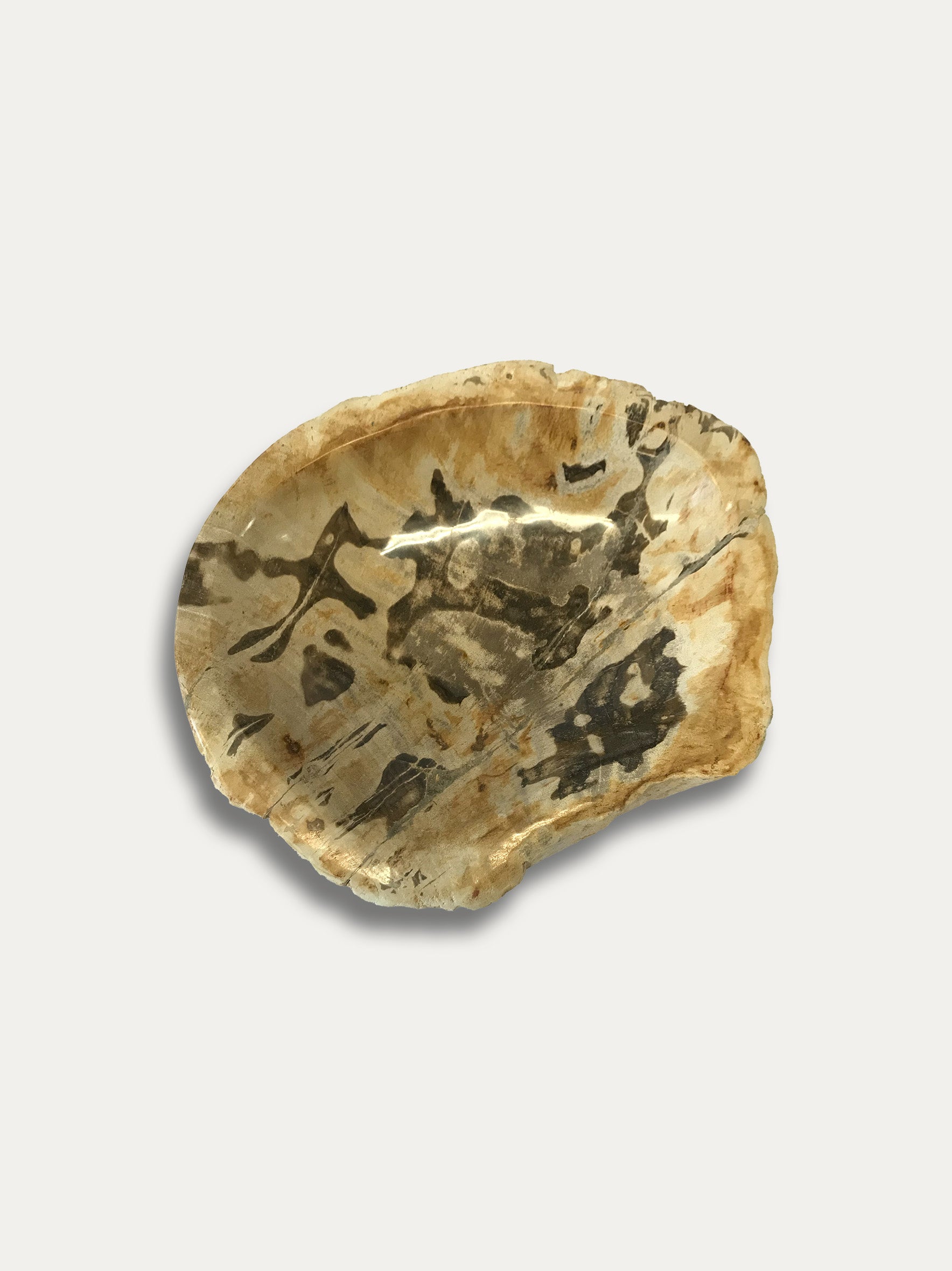 Petrified Wood Bowl