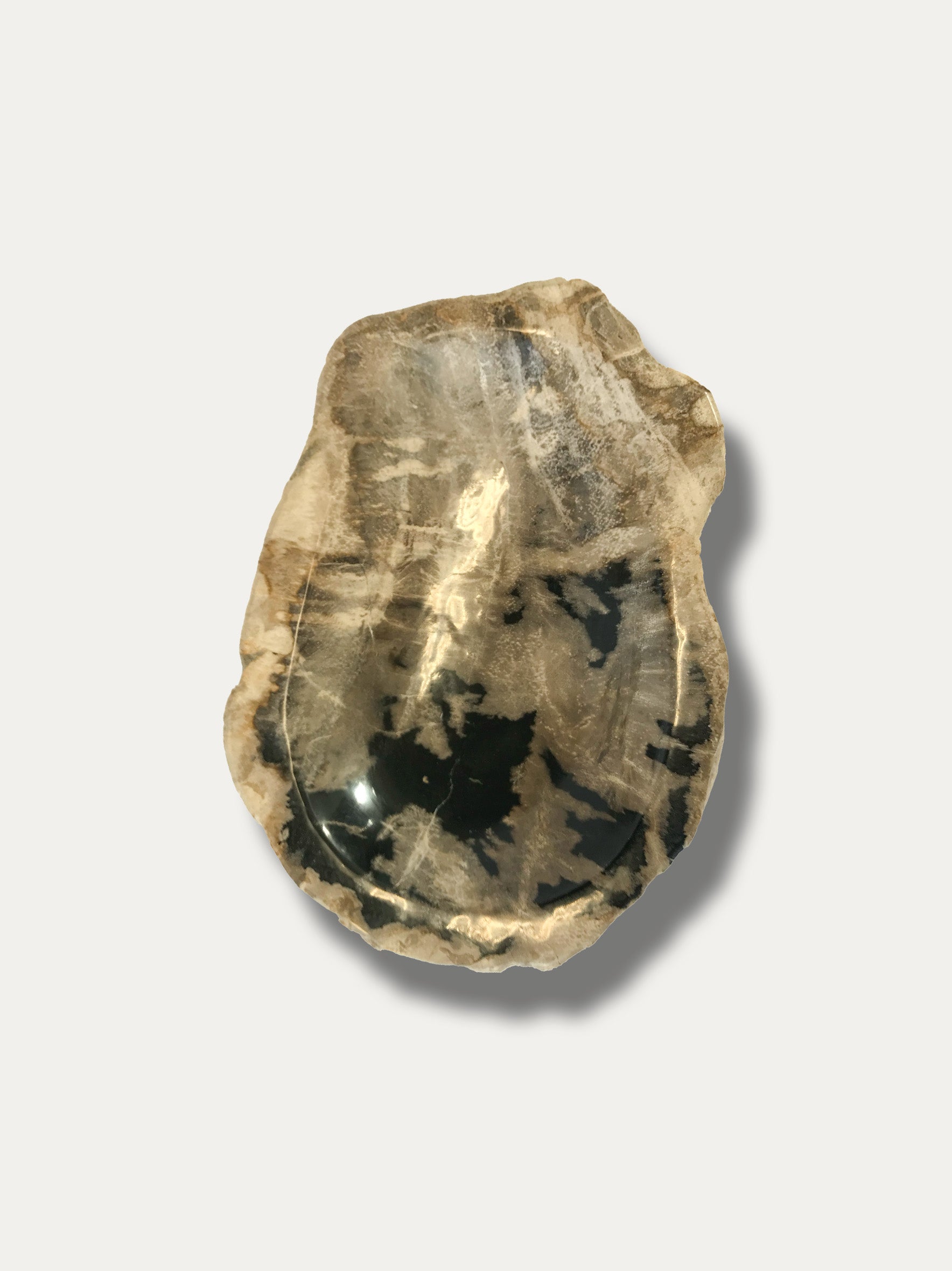 Petrified wood bowl