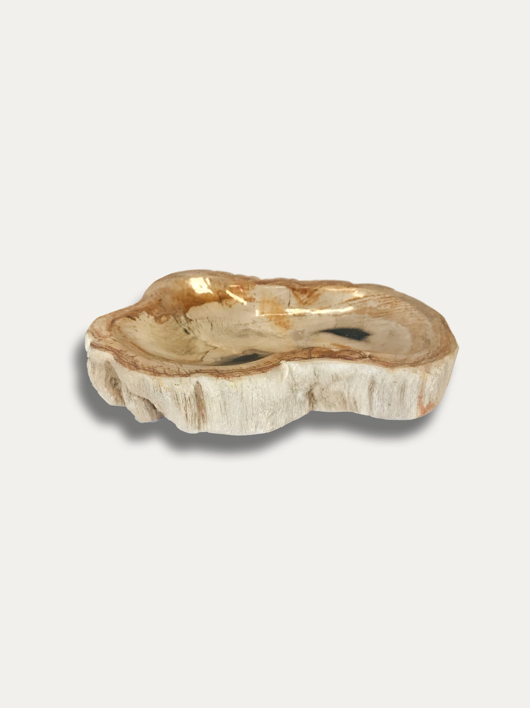 Petrified Wood Bowl