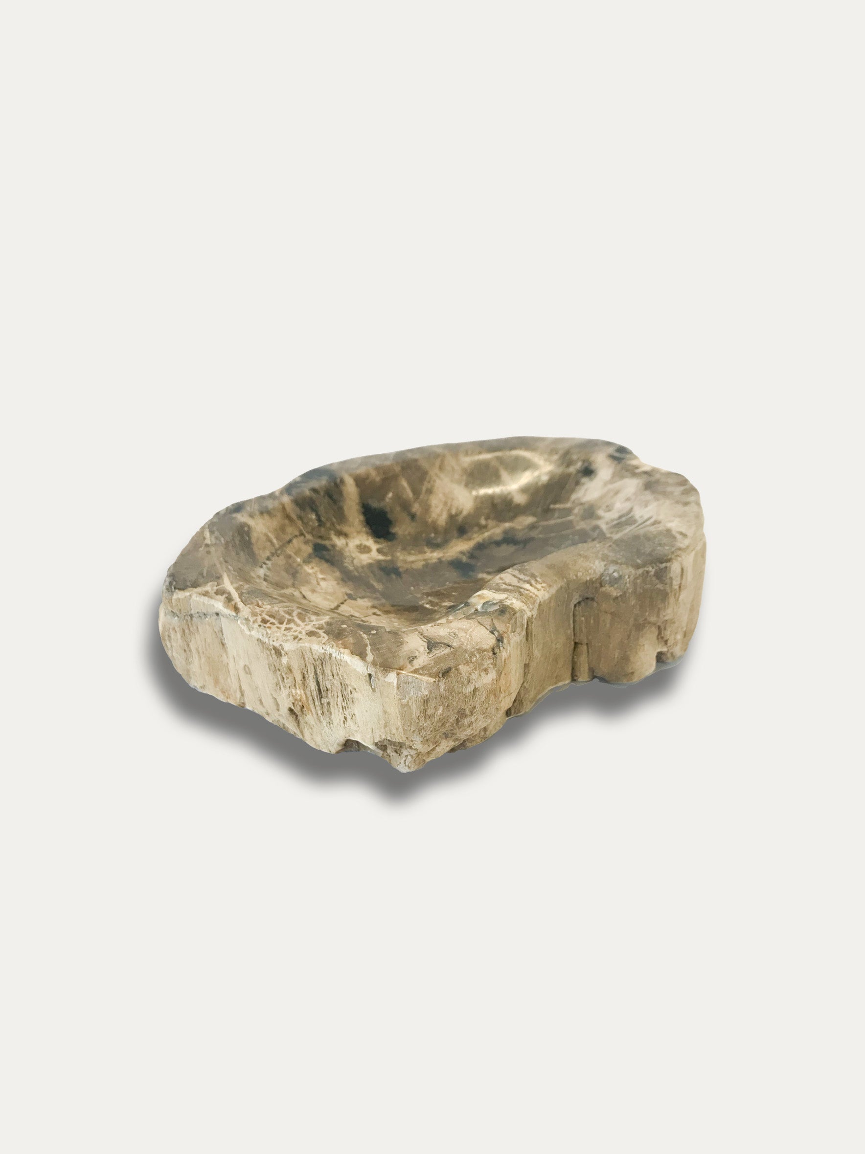 Petrified Wood Bowl