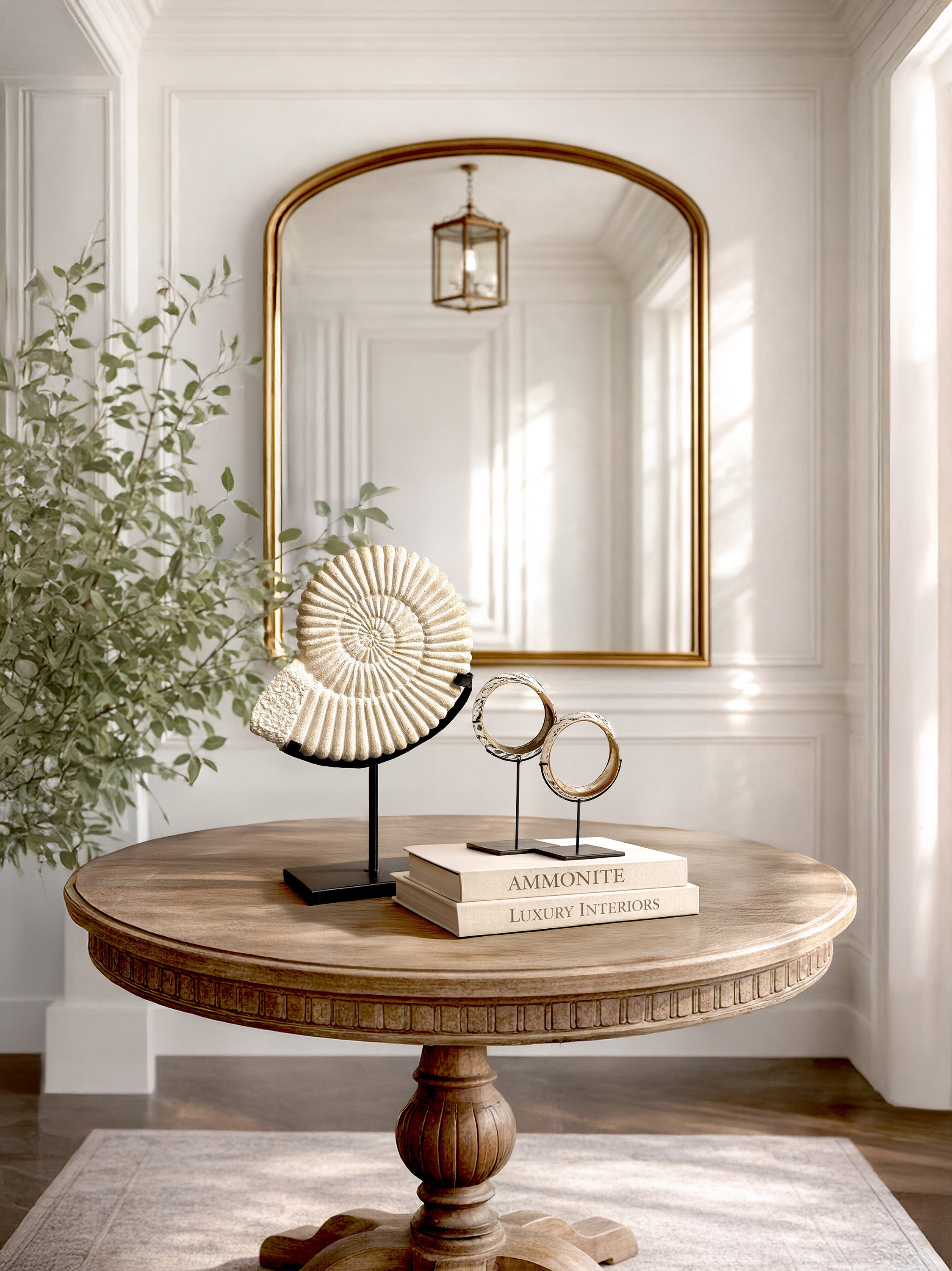 excellence-fortune-bundle-ammonite-money-rings-kirschon