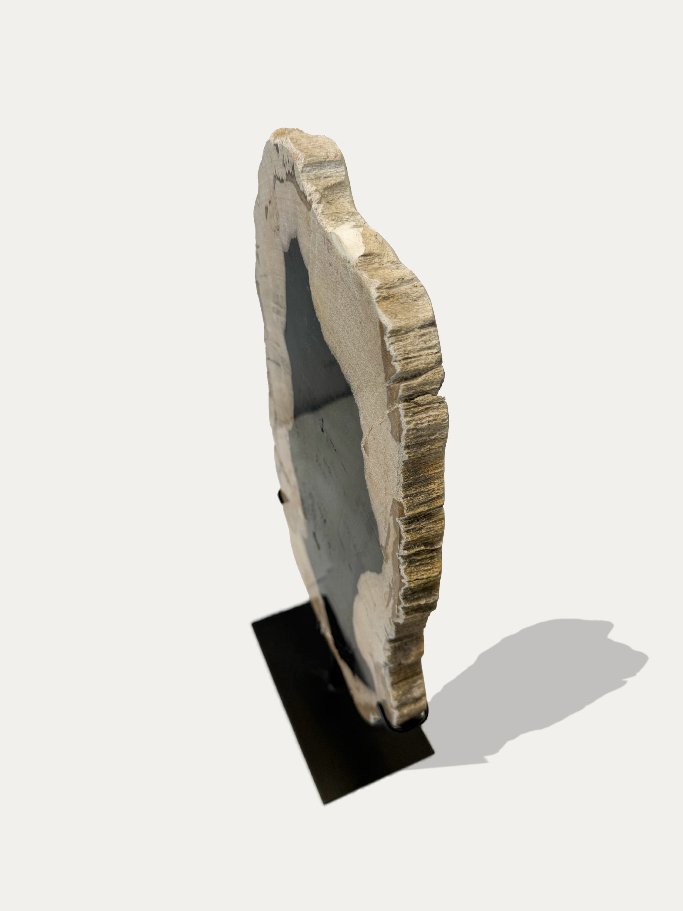 Petrified Wood Sculpture and Tray