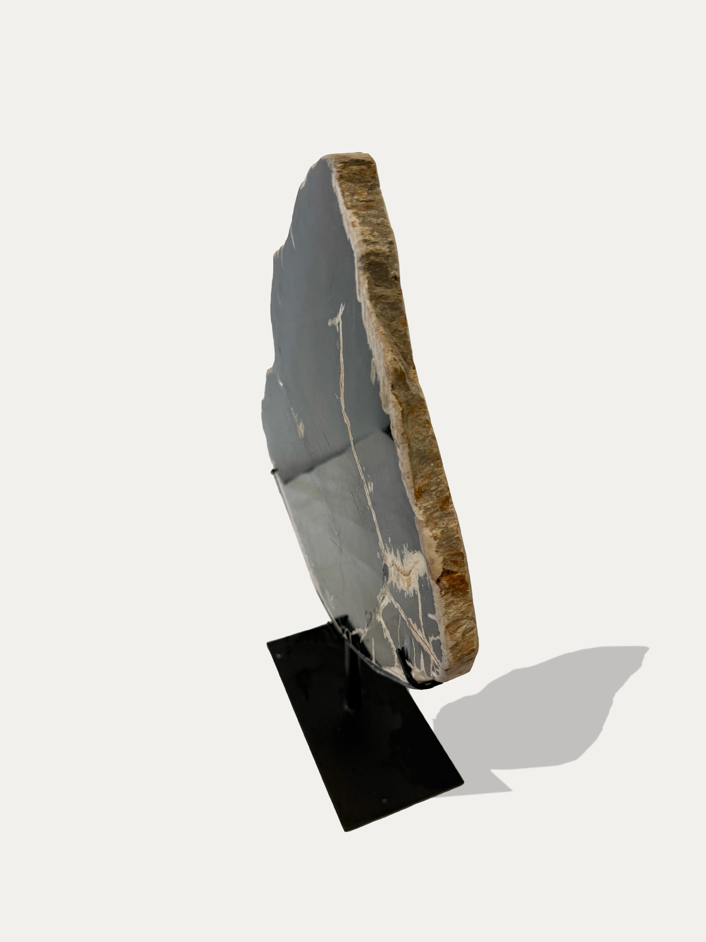 Petrified Wood Sculpture and Tray