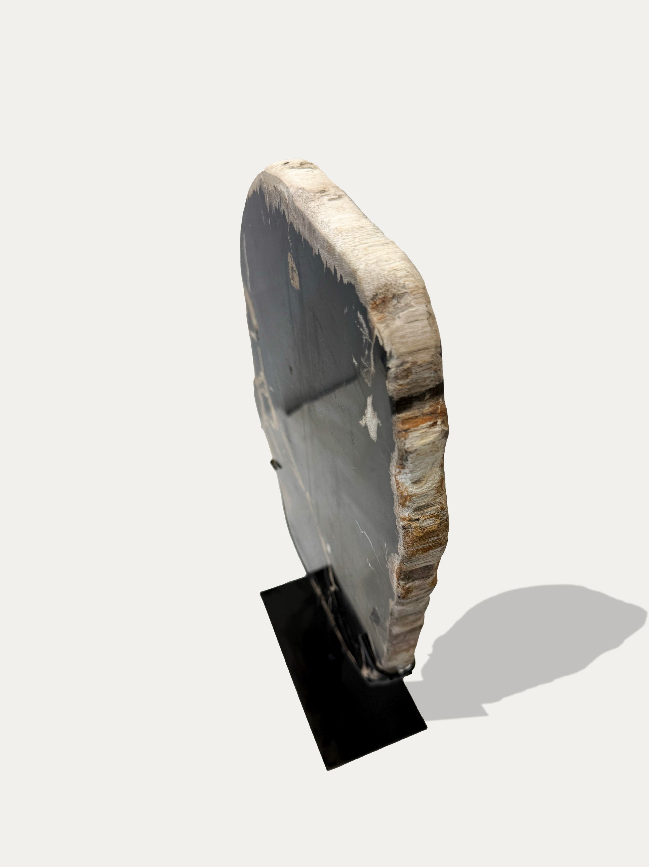 Petrified Wood Sculpture and Tray