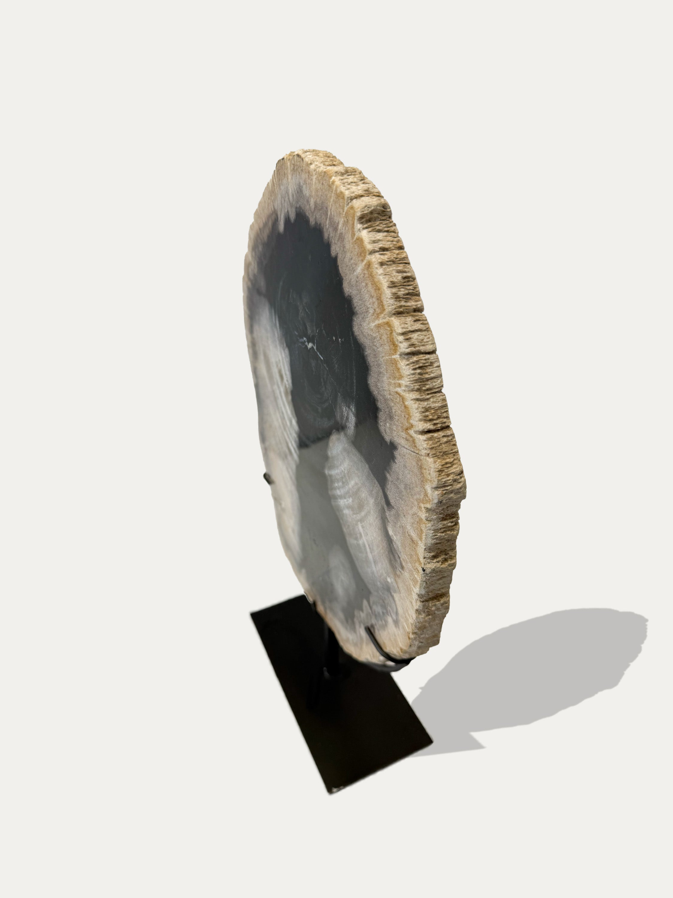 Petrified Wood Sculpture and Tray