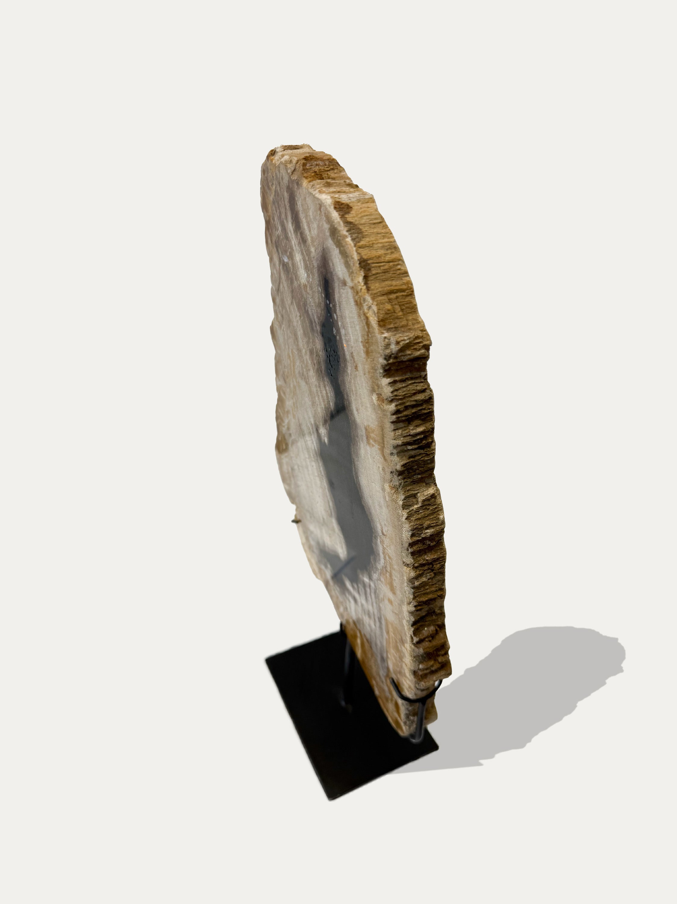 Petrified Wood Sculpture and Tray