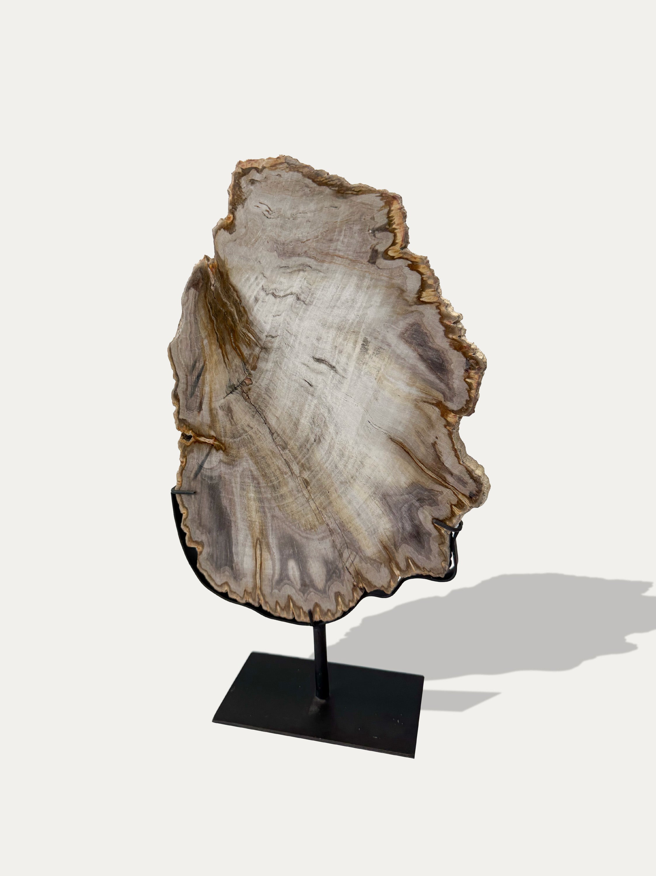 fossil-wood-tray-unique-home-decor-italy