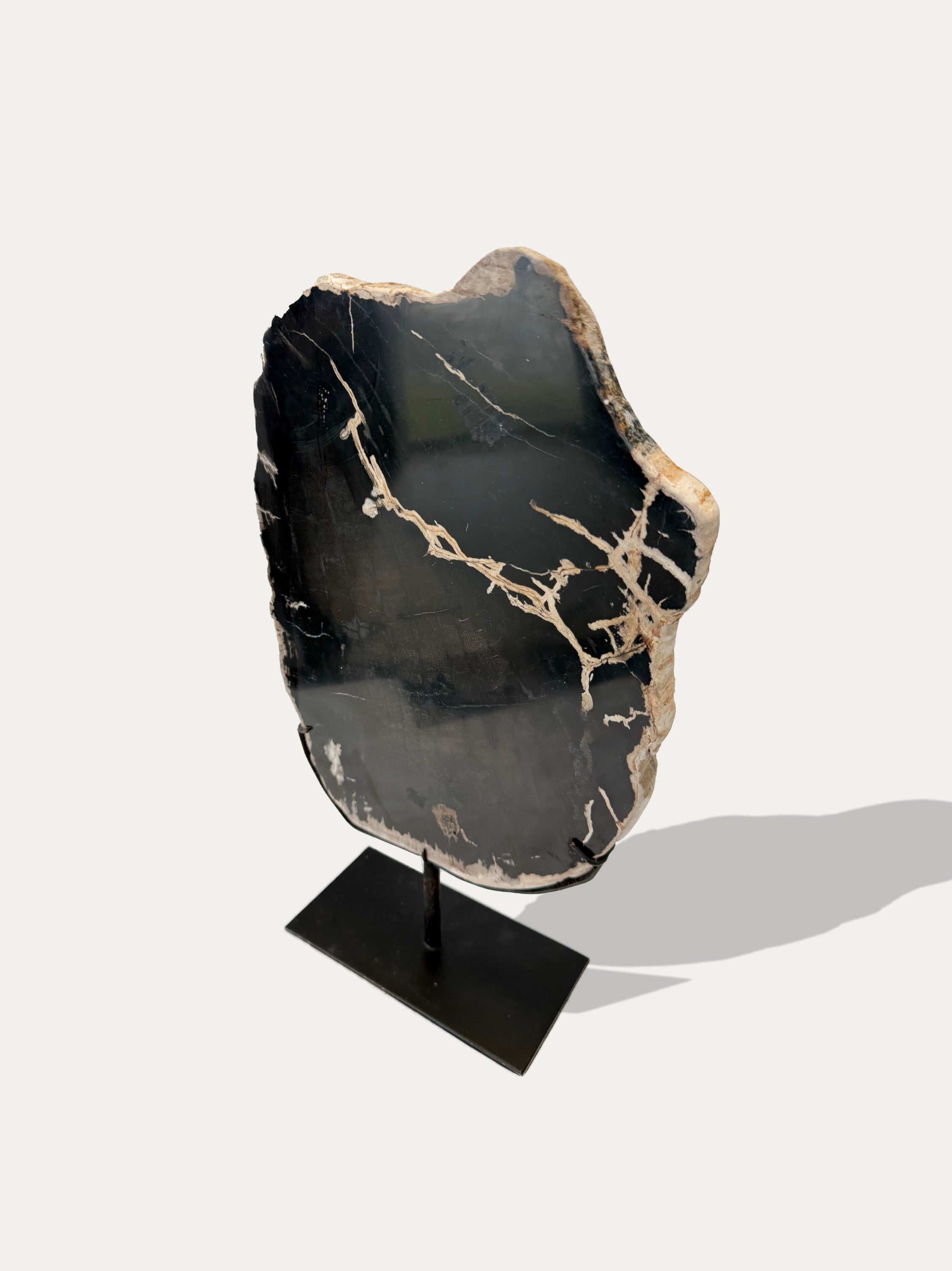 Scultura e Vassoio in Legno Pietrificato