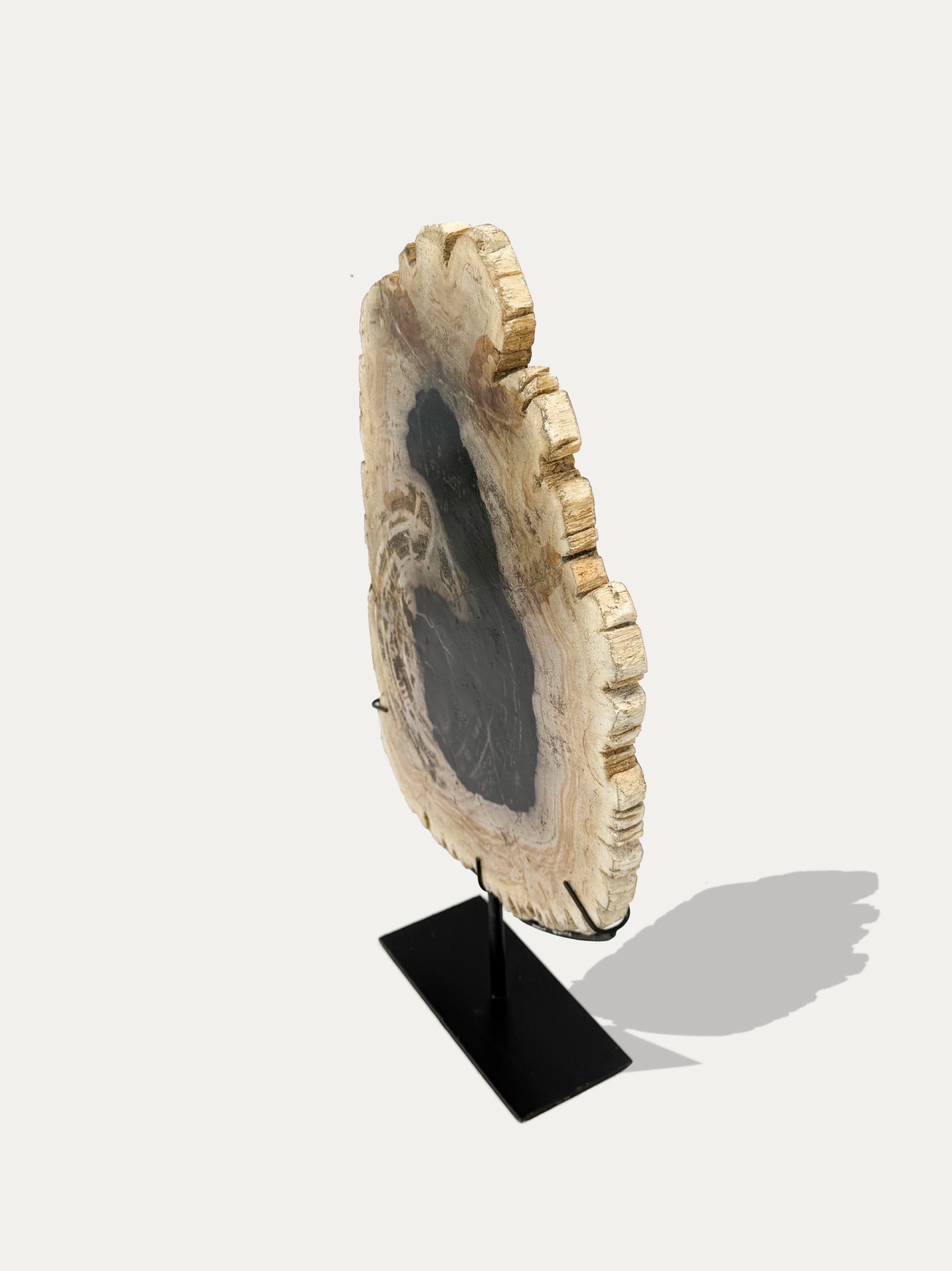 fossilized-wood-sculpture-and-tray-for-elegant-interiors-europe