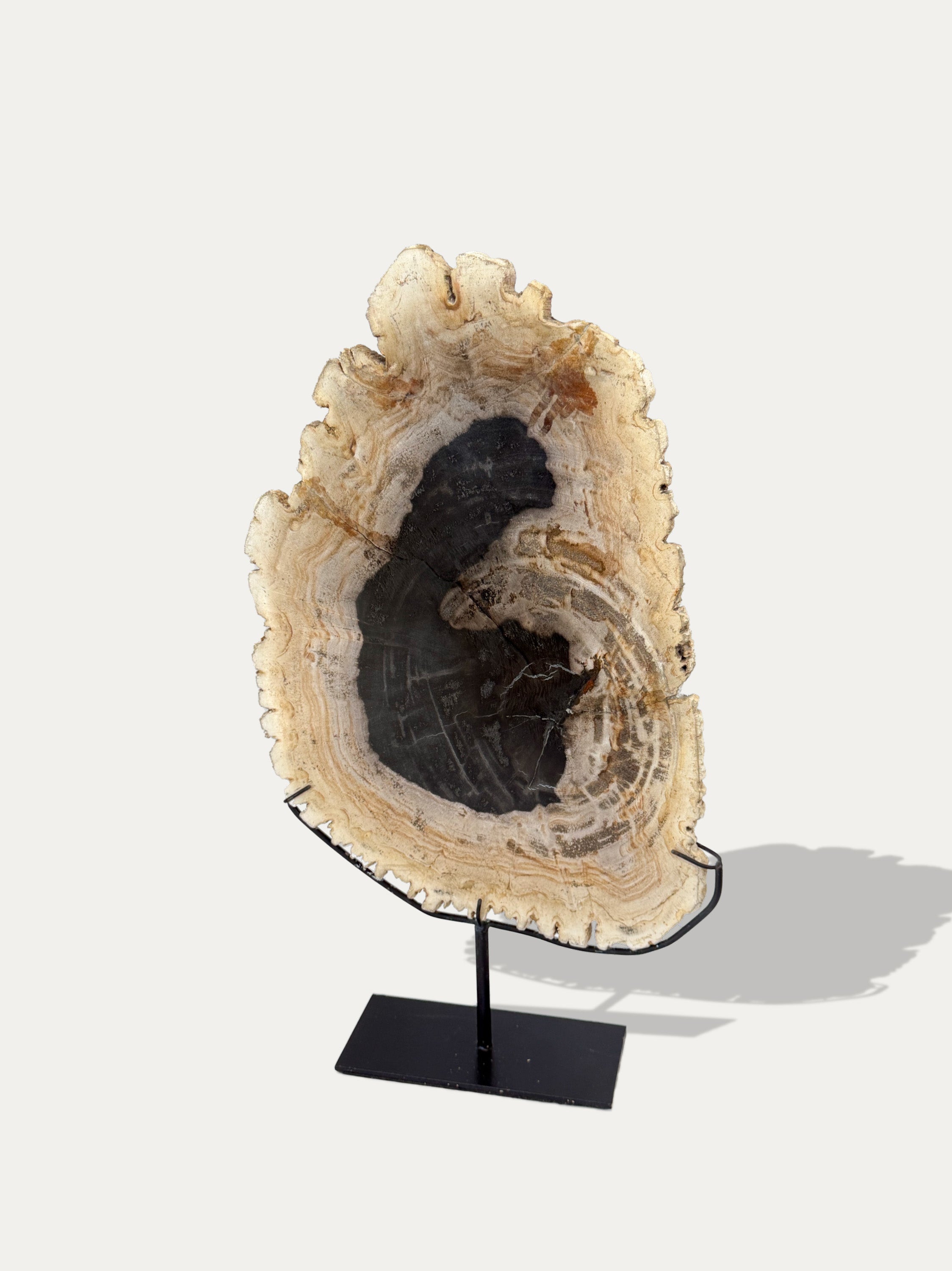 handcrafted-petrified-wood-decor-object-kirschon-como-italy