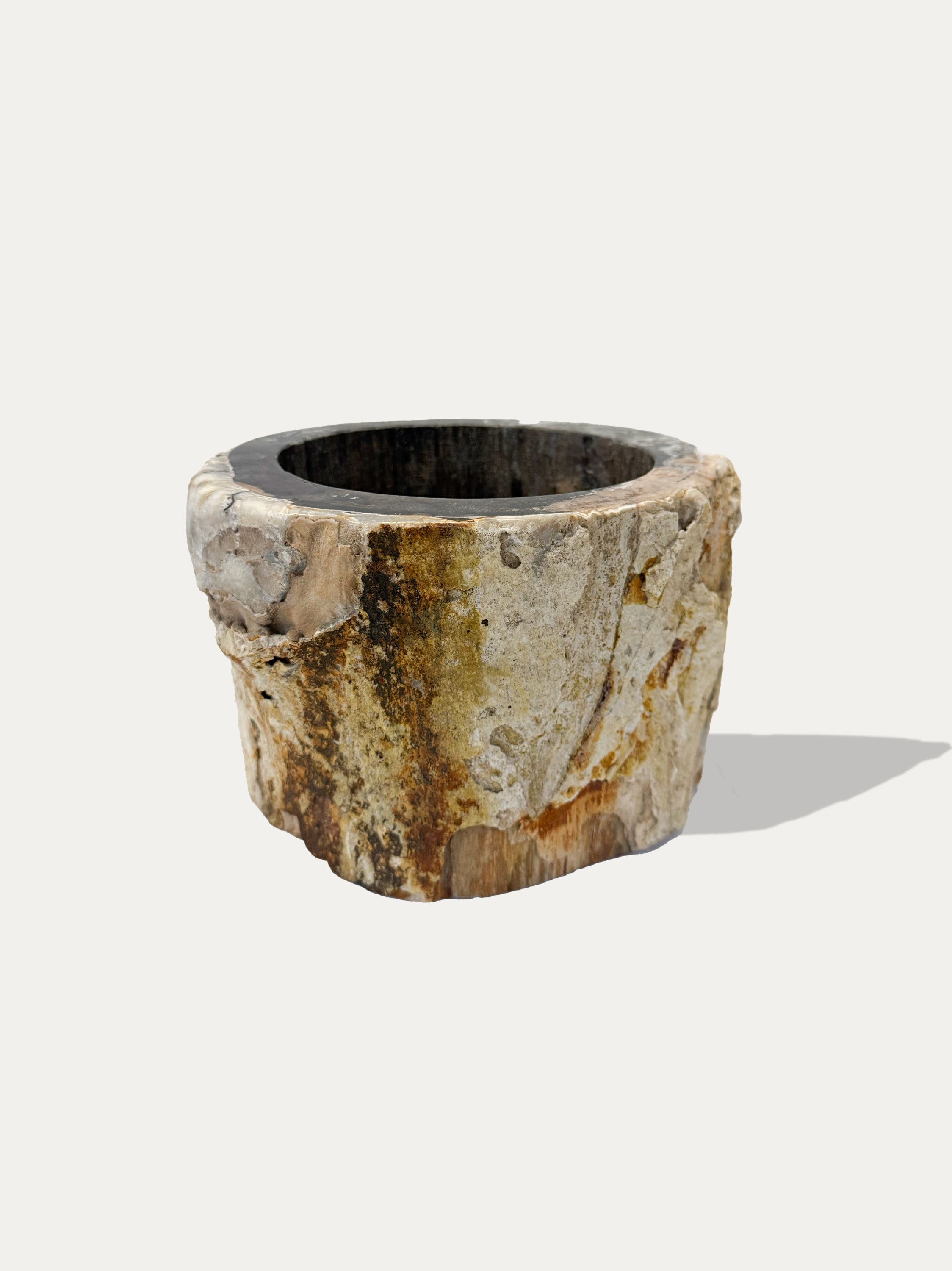 handcrafted-petrified-wood-vase-natural-stone-decor