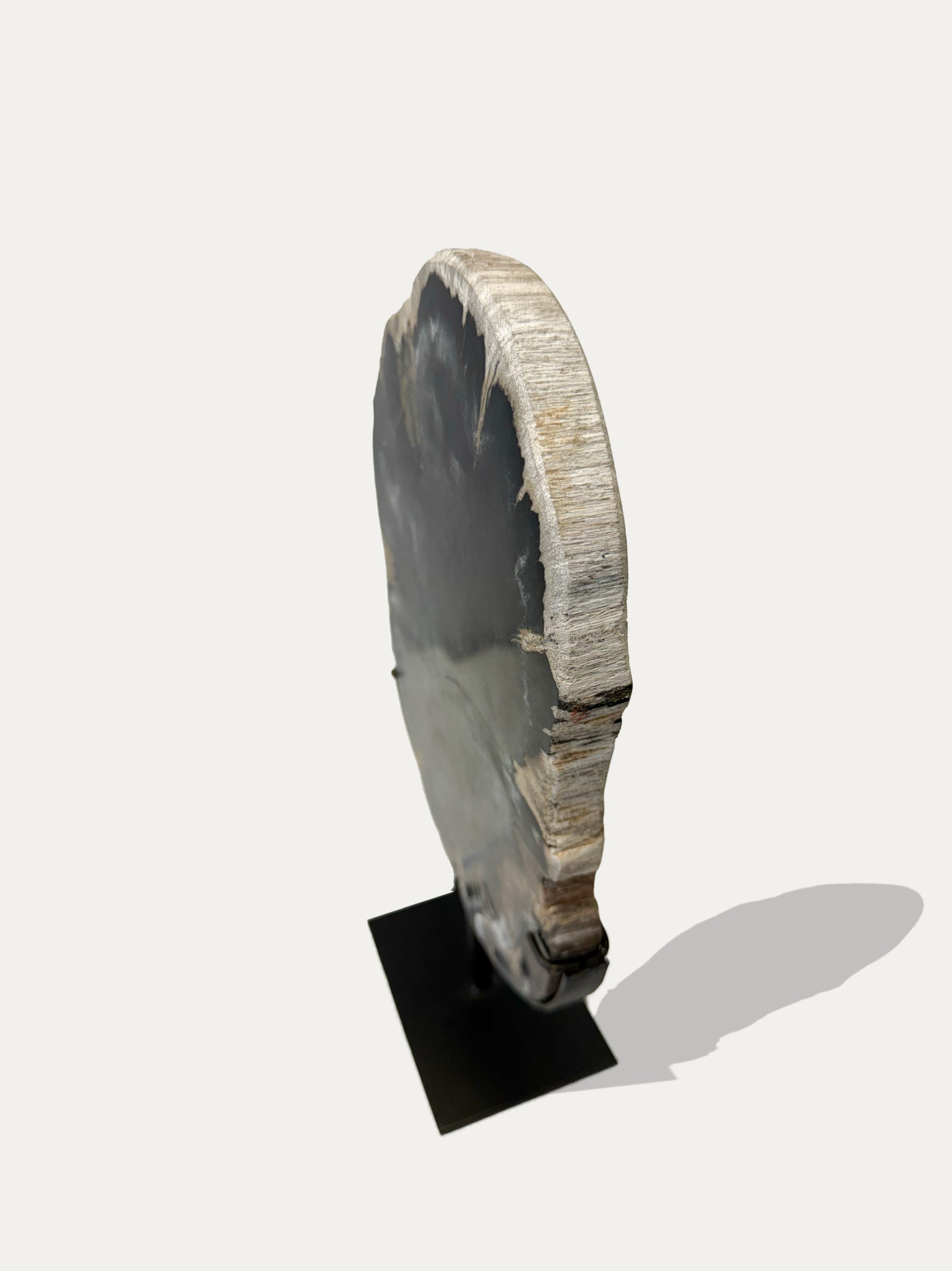 Petrified Wood Trays | Stone Decor from Lake Como | Kirschon