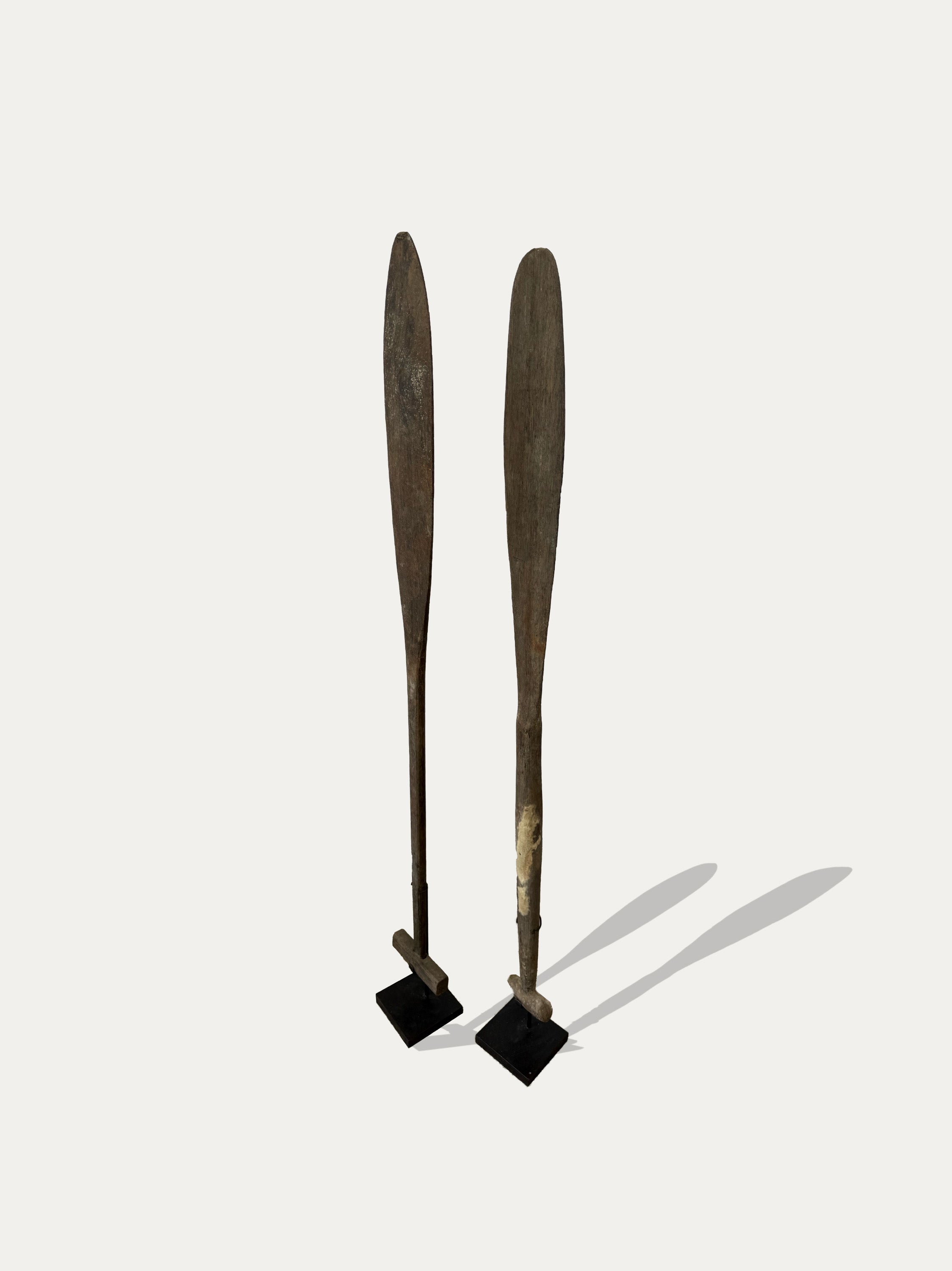 Rames anciennes de Bornéo