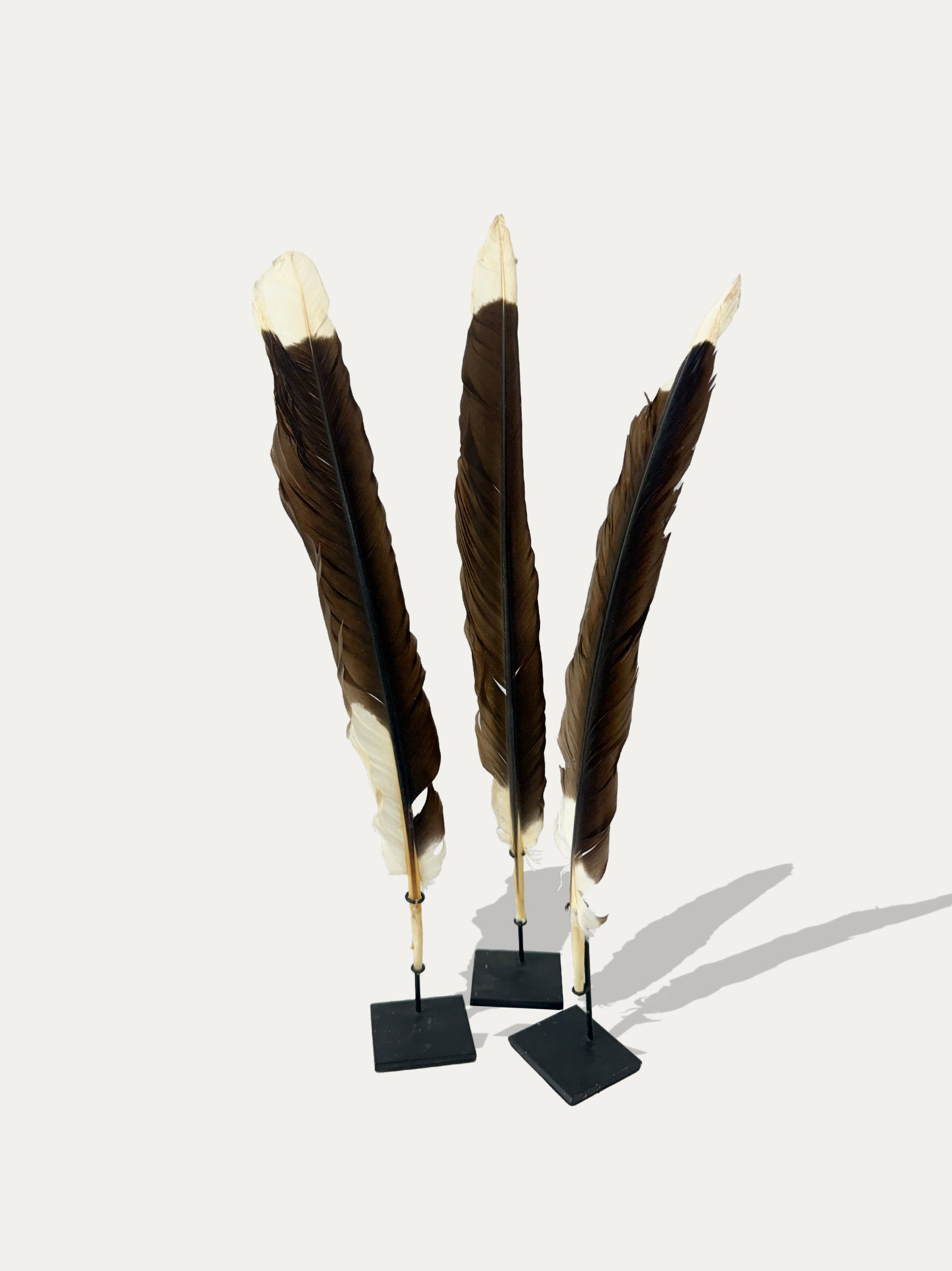 indonesian-waterbird-feathers-sculptural-home-decor-kirschon