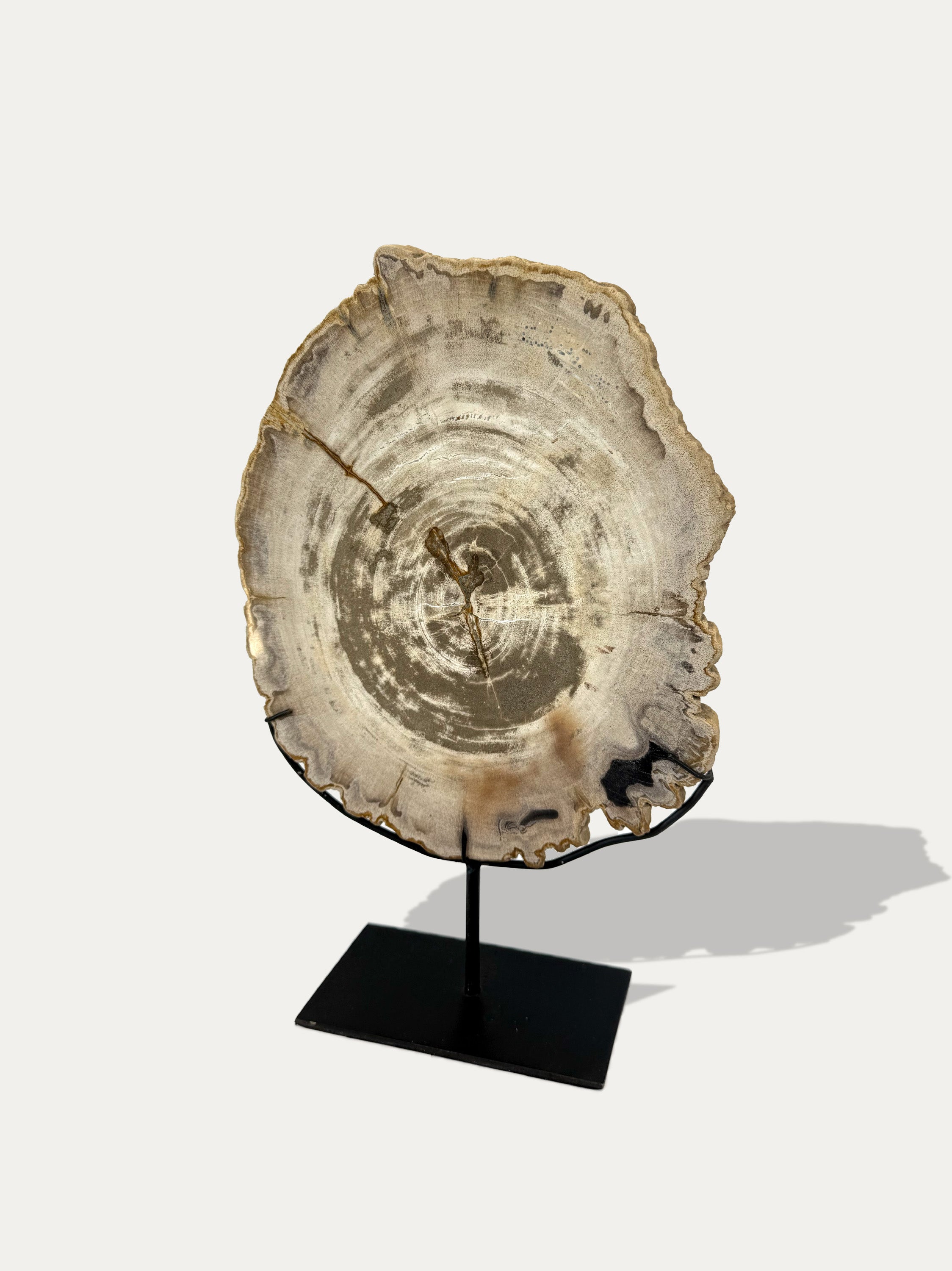 italian-luxury-petrified-wood-sculpture-and-tray-asia-art-gallery