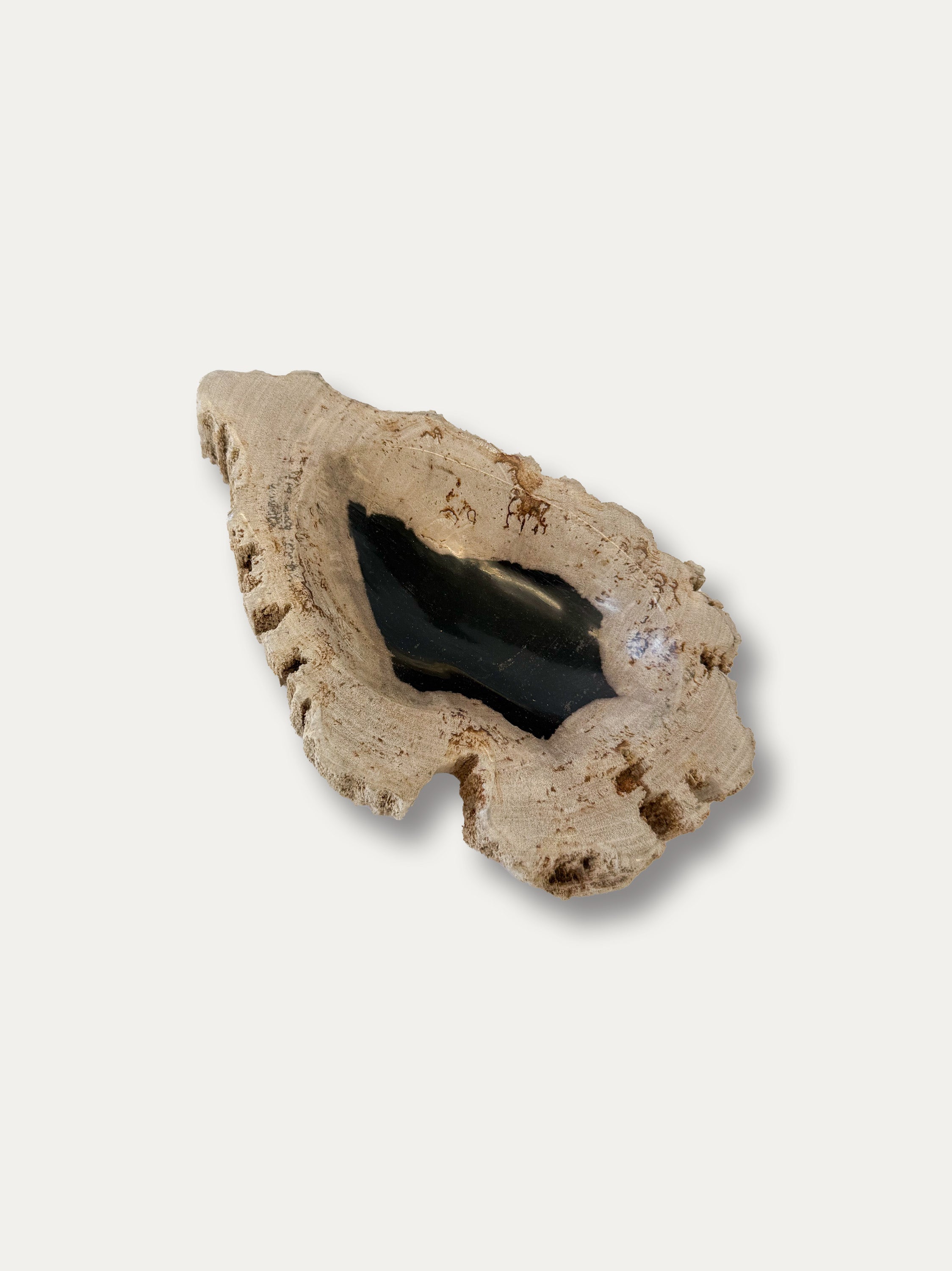 italian-petrified-wood-centerpiece-bowl-natural-stone-home-decor