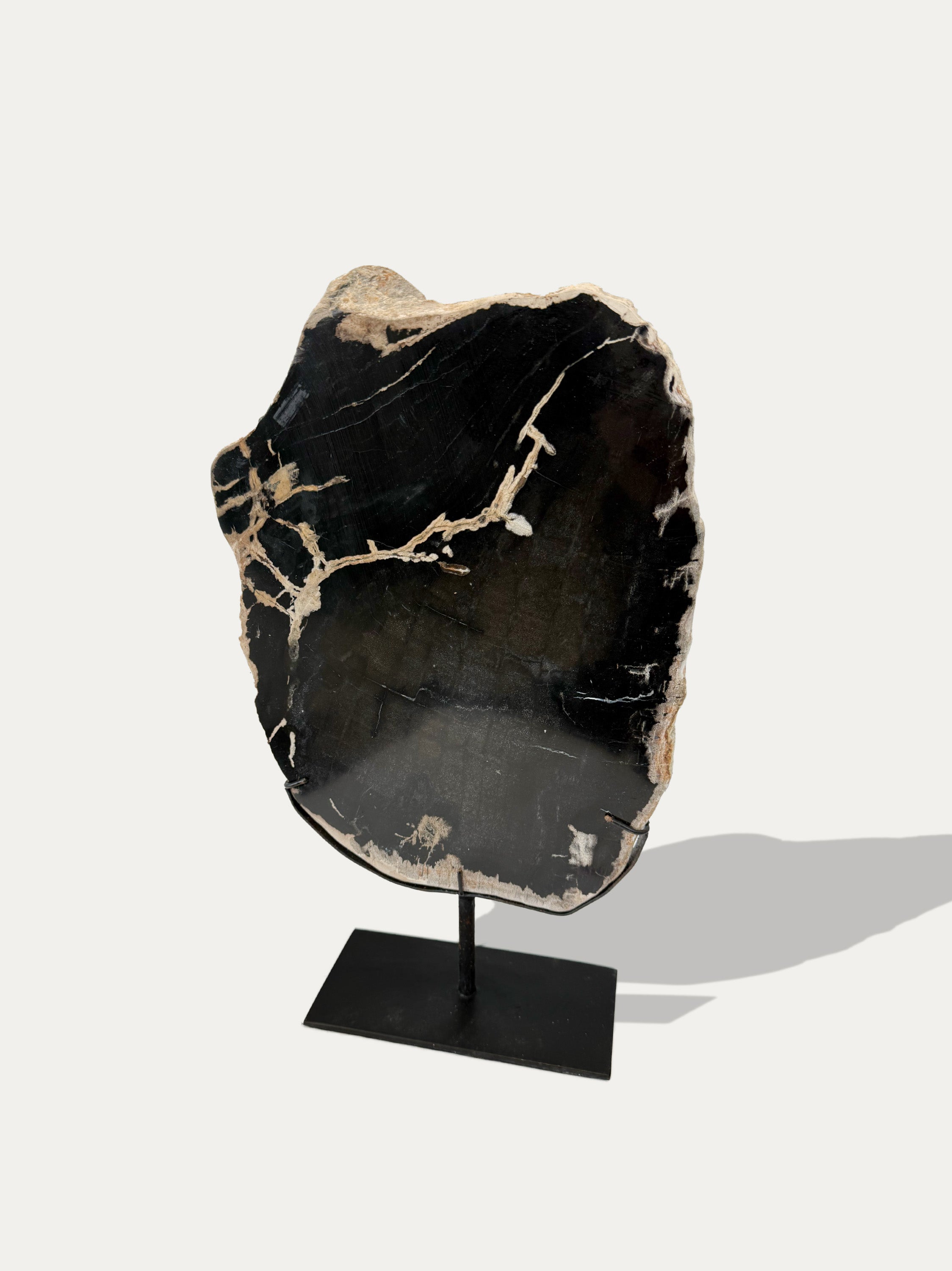 Scultura e Vassoio in Legno Pietrificato