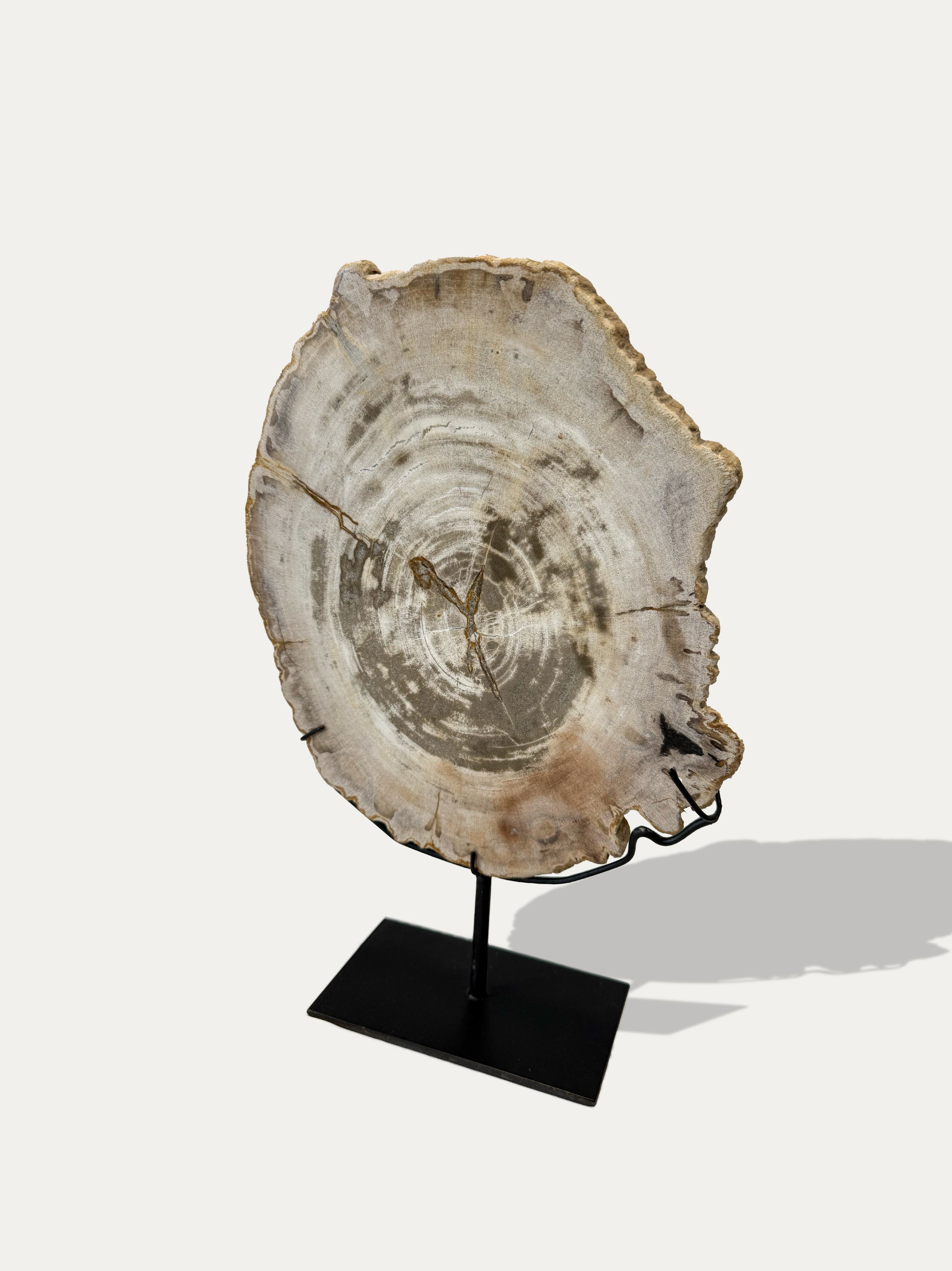 java-fossil-wood-tray-elegant-stone-piece