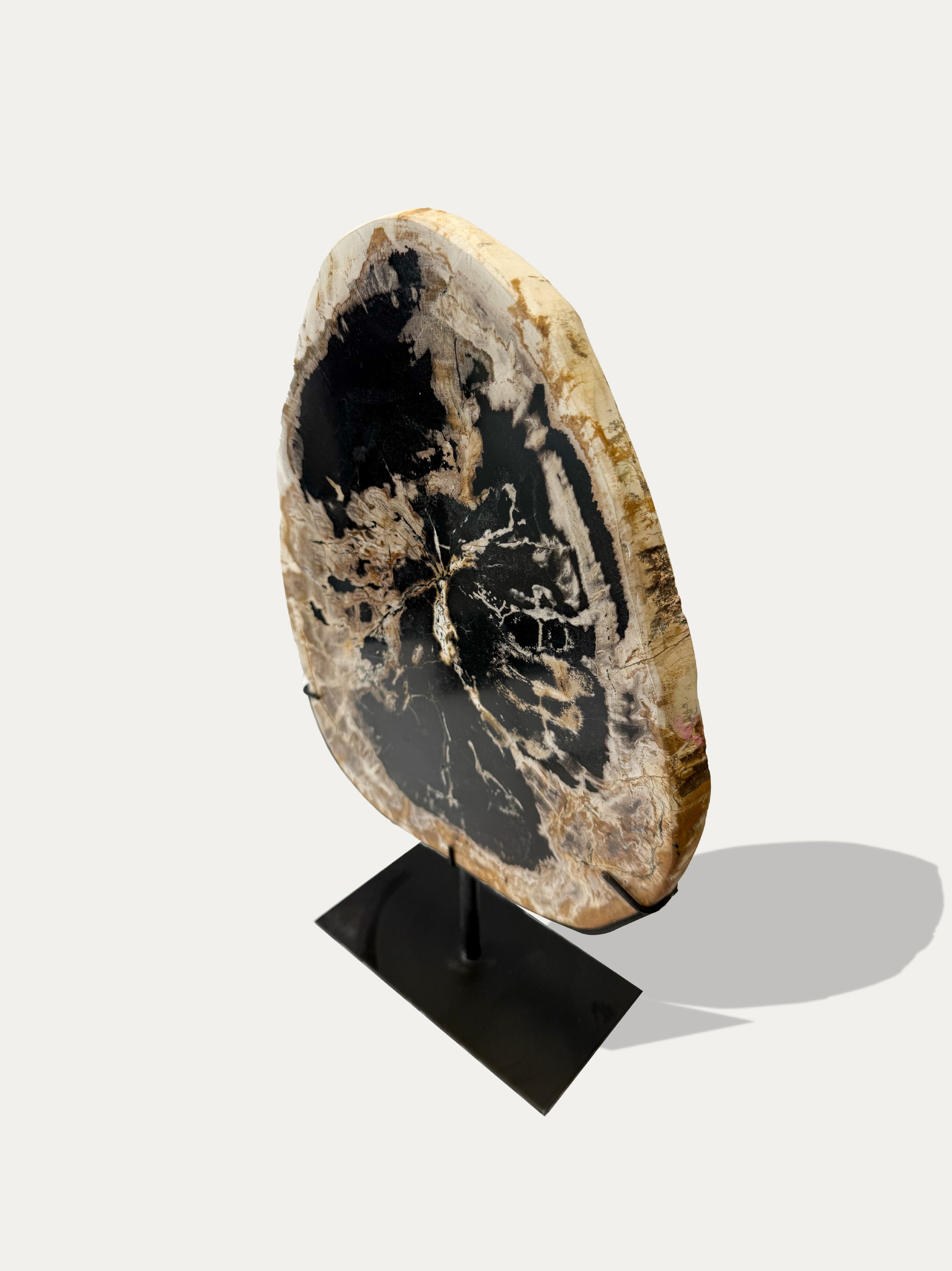 Petrified Wood Sculpture and Tray