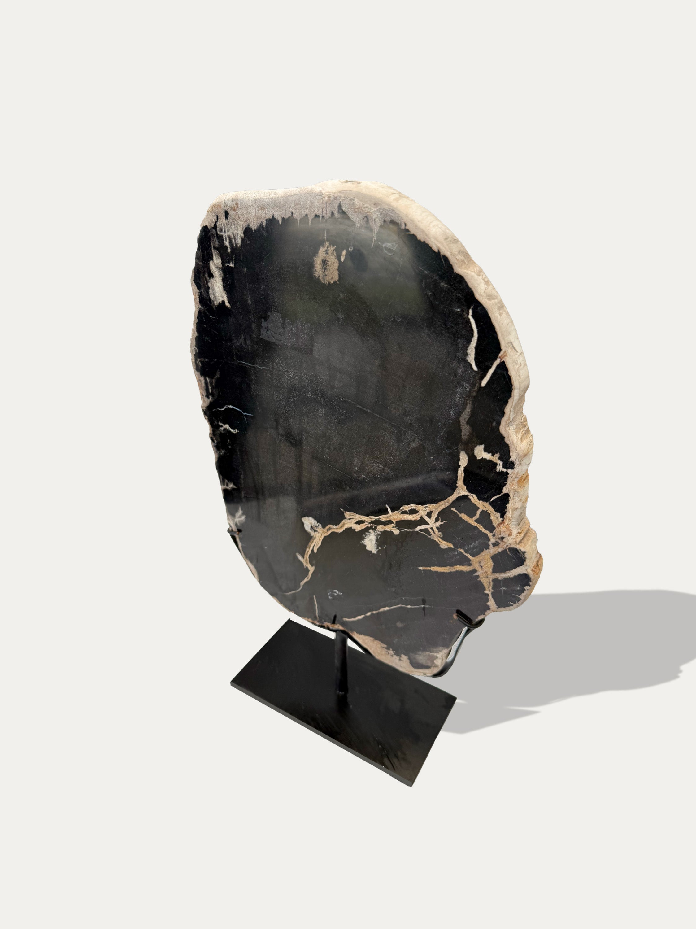 Petrified Wood Sculpture and Tray