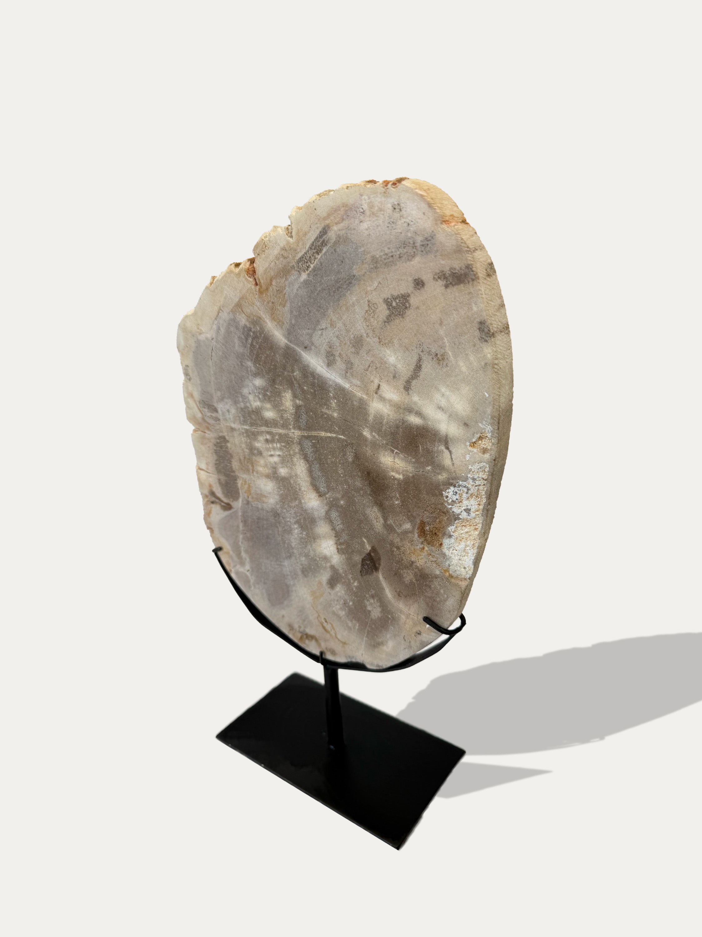 Petrified Wood Sculpture and Tray