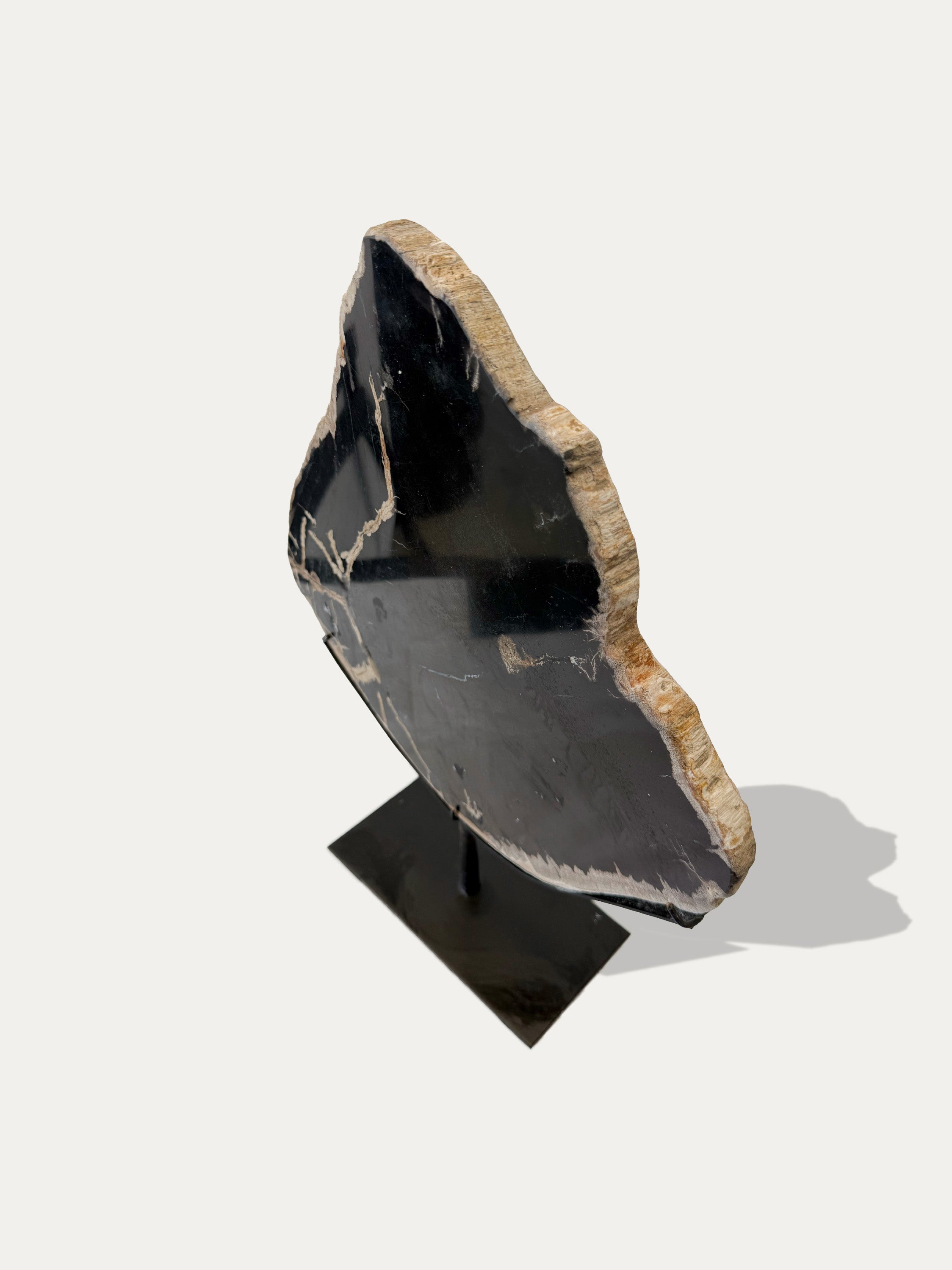 Petrified Wood Sculpture and Tray