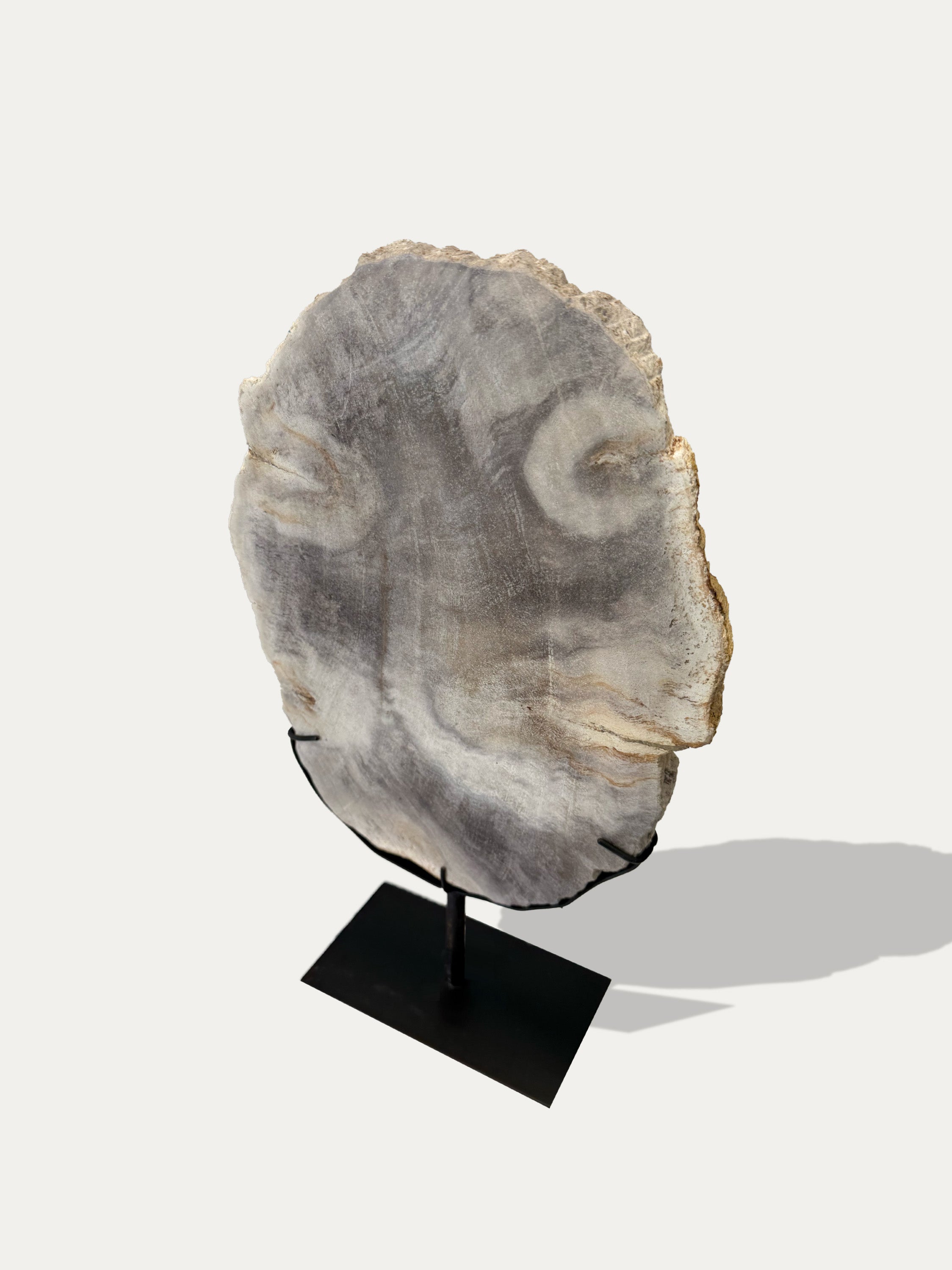Petrified Wood Sculpture and Tray