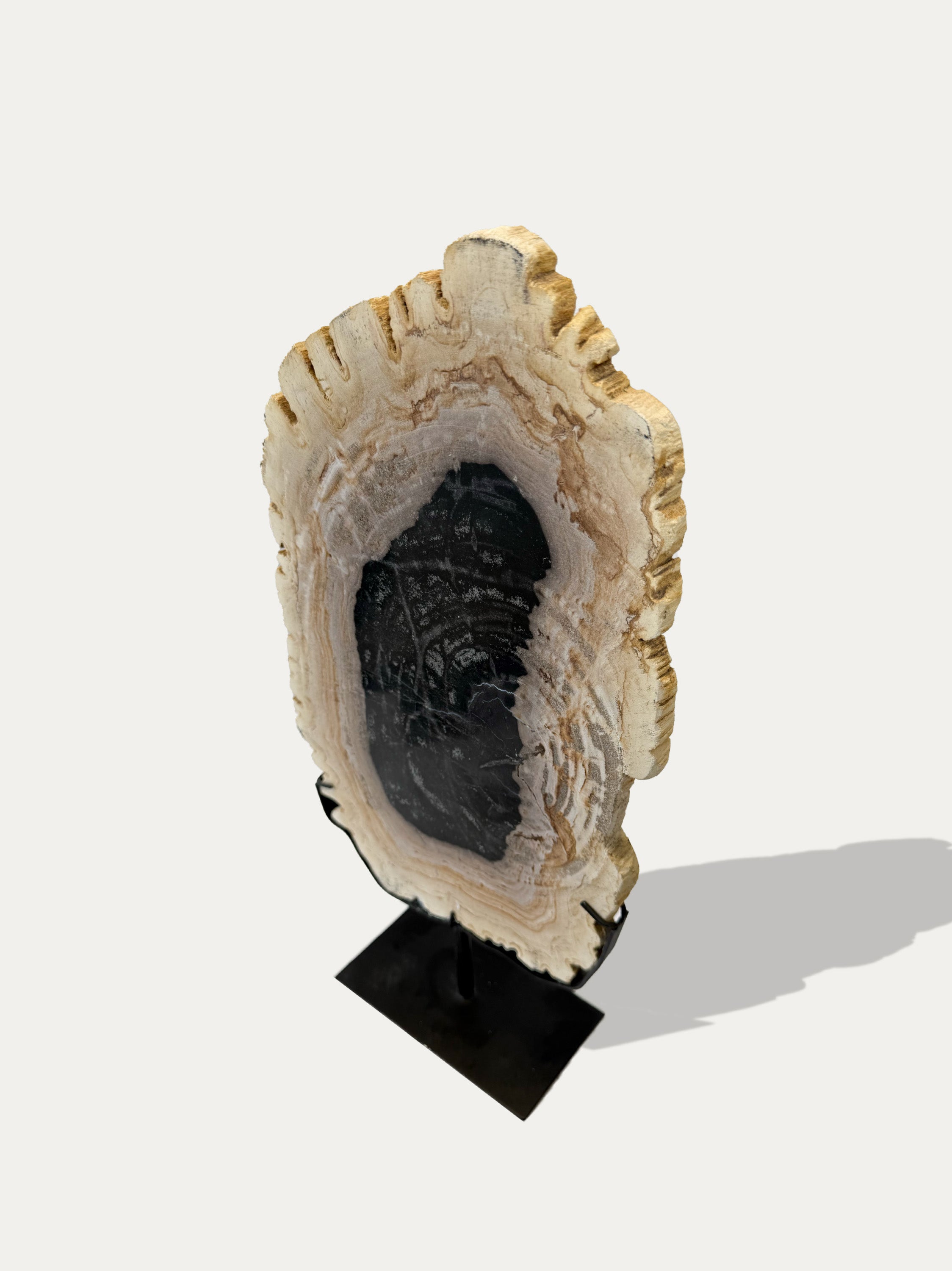 Petrified Wood Sculpture and Tray