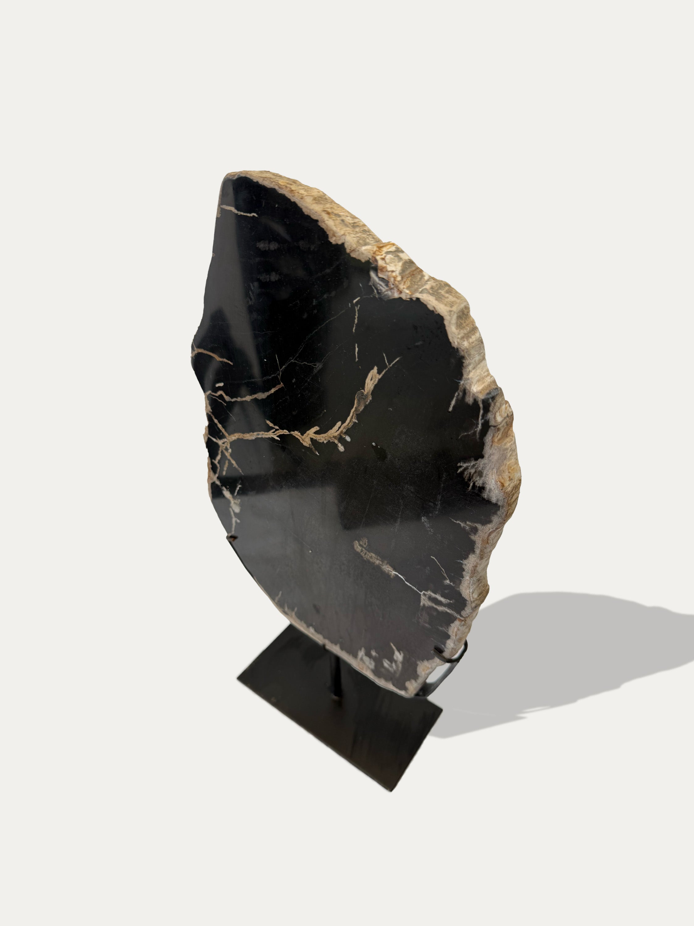 Petrified Wood Sculpture and Tray