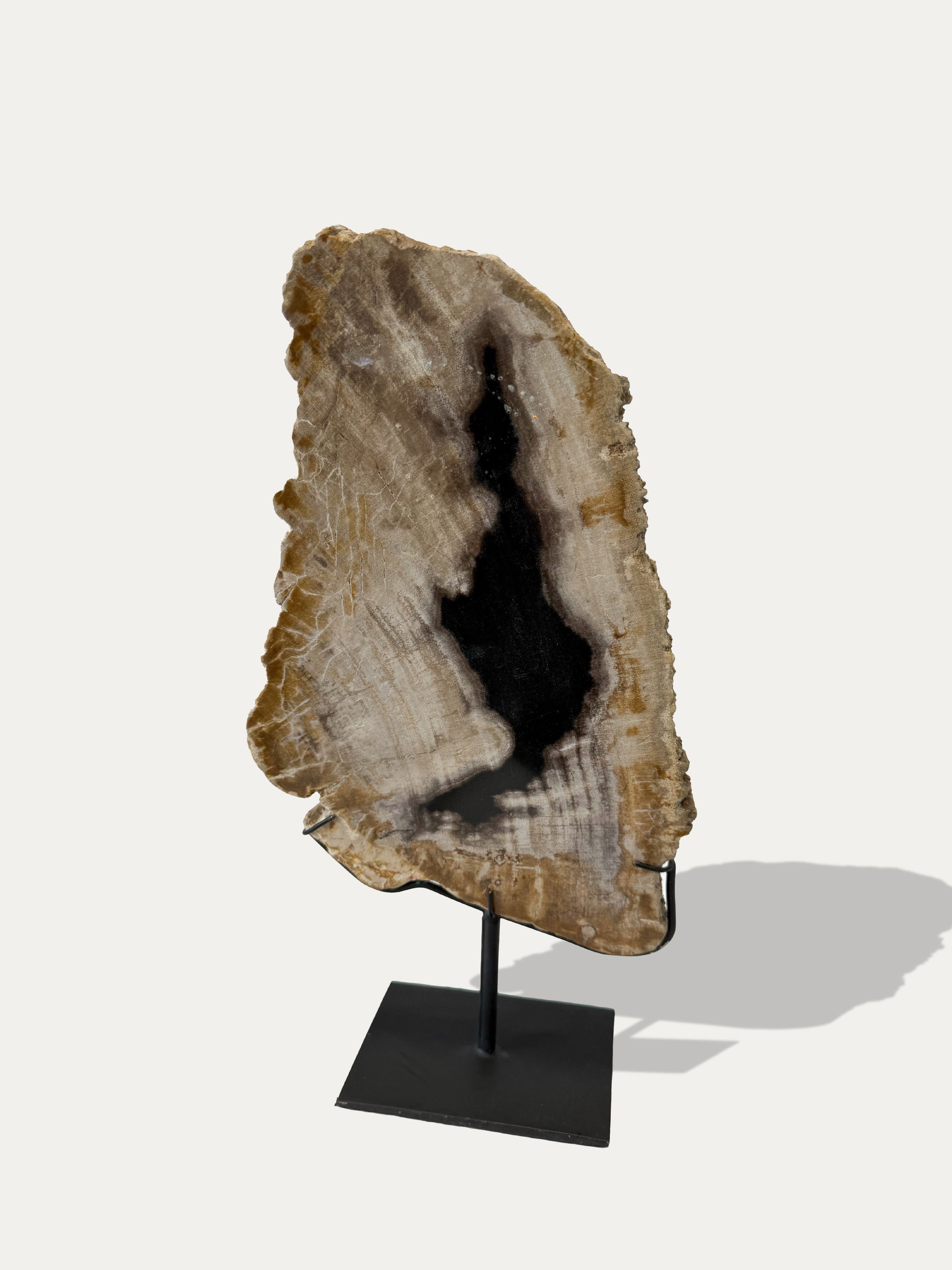 Petrified Wood Sculpture and Tray