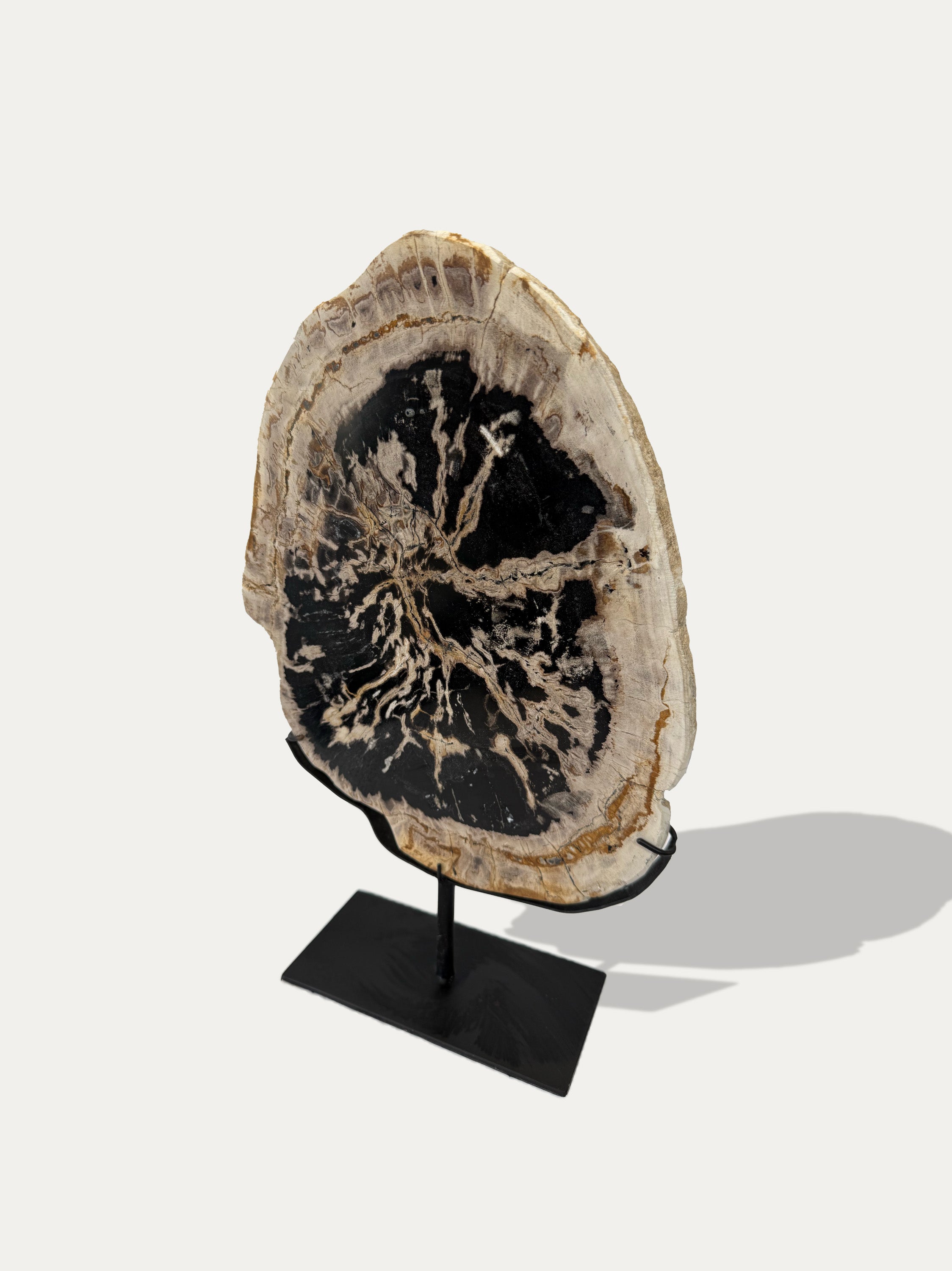 Petrified Wood Sculpture and Tray