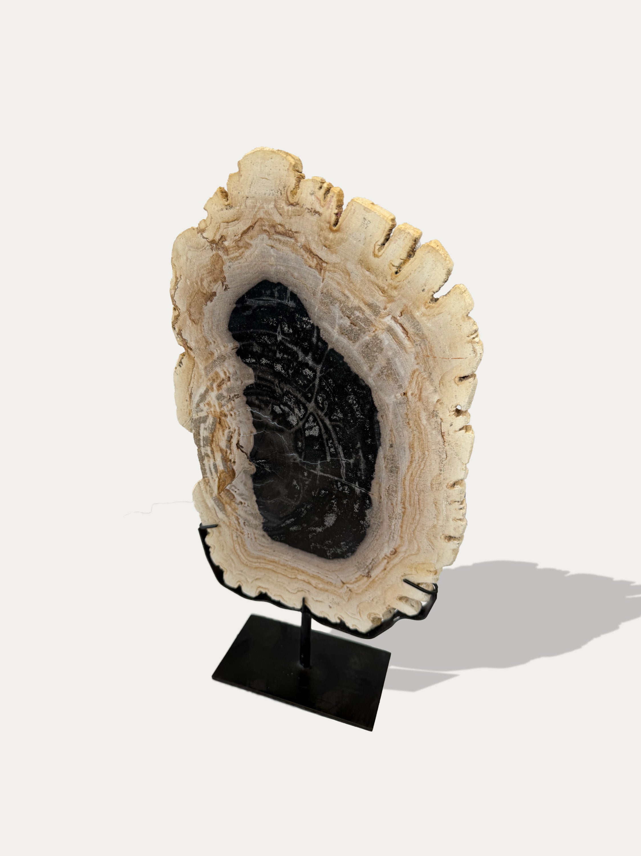 Petrified Wood Sculpture and Tray