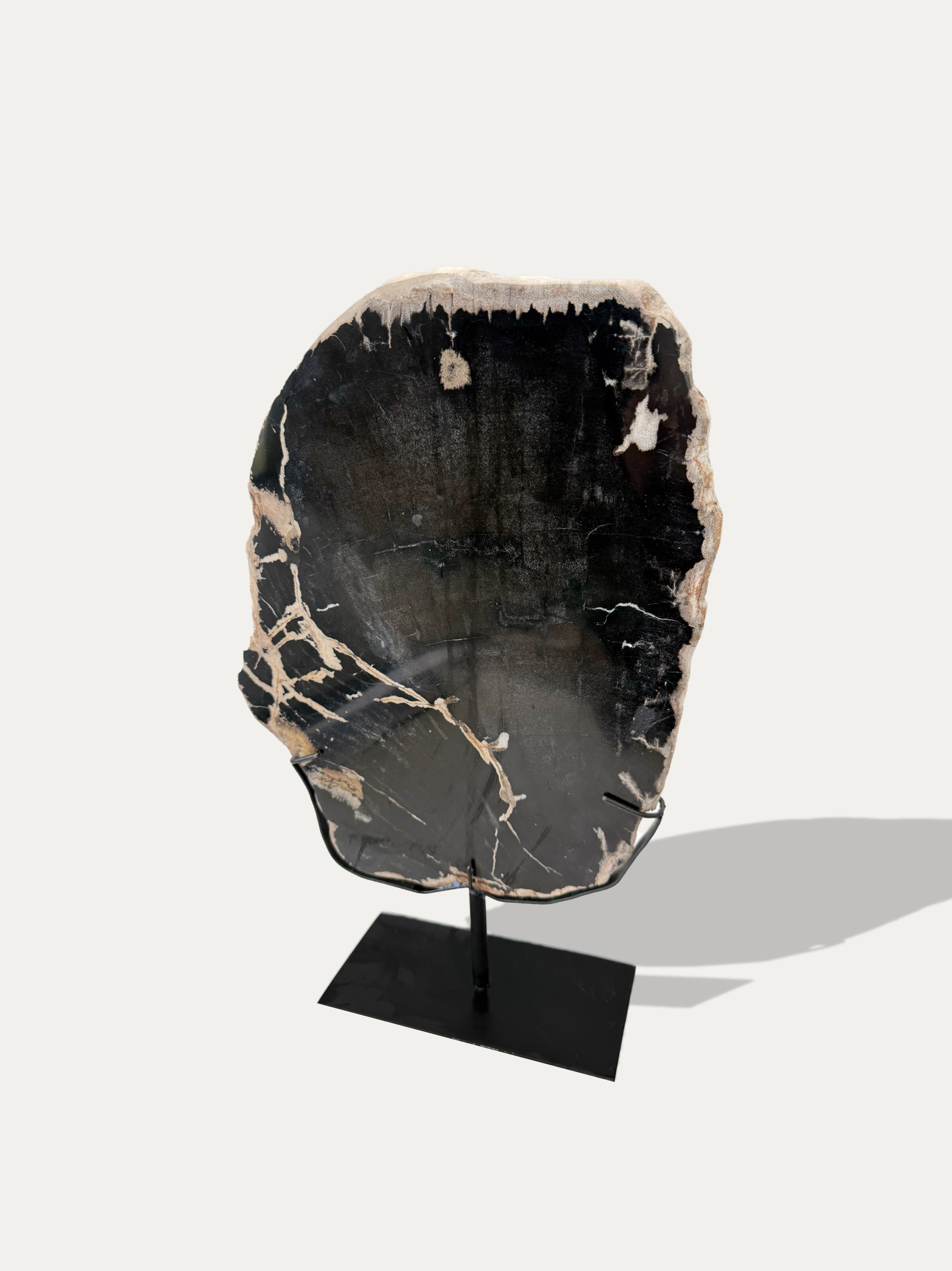 Scultura e Vassoio in Legno Pietrificato