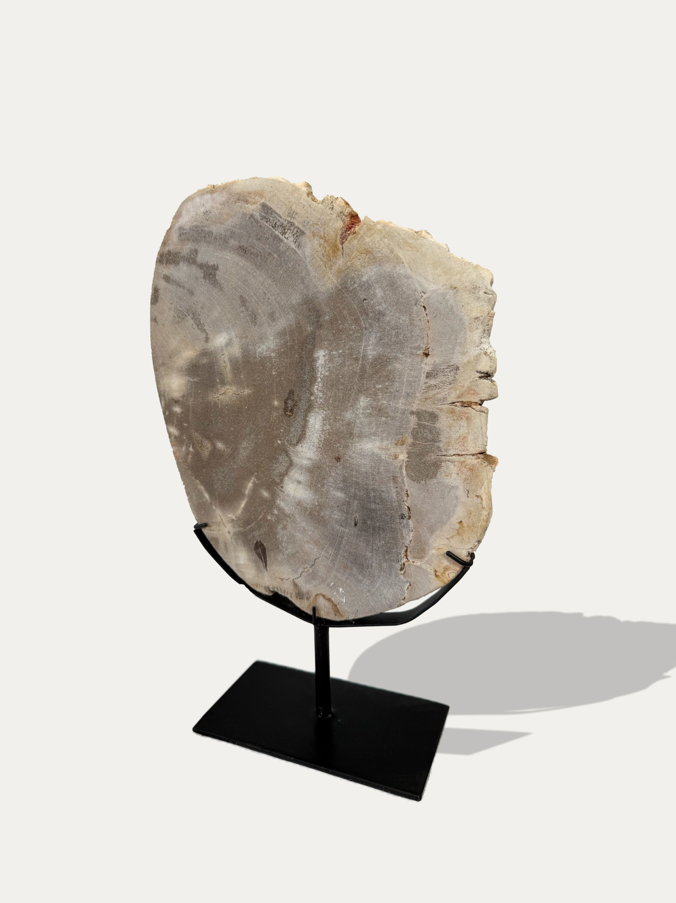 Petrified Wood Sculpture and Tray