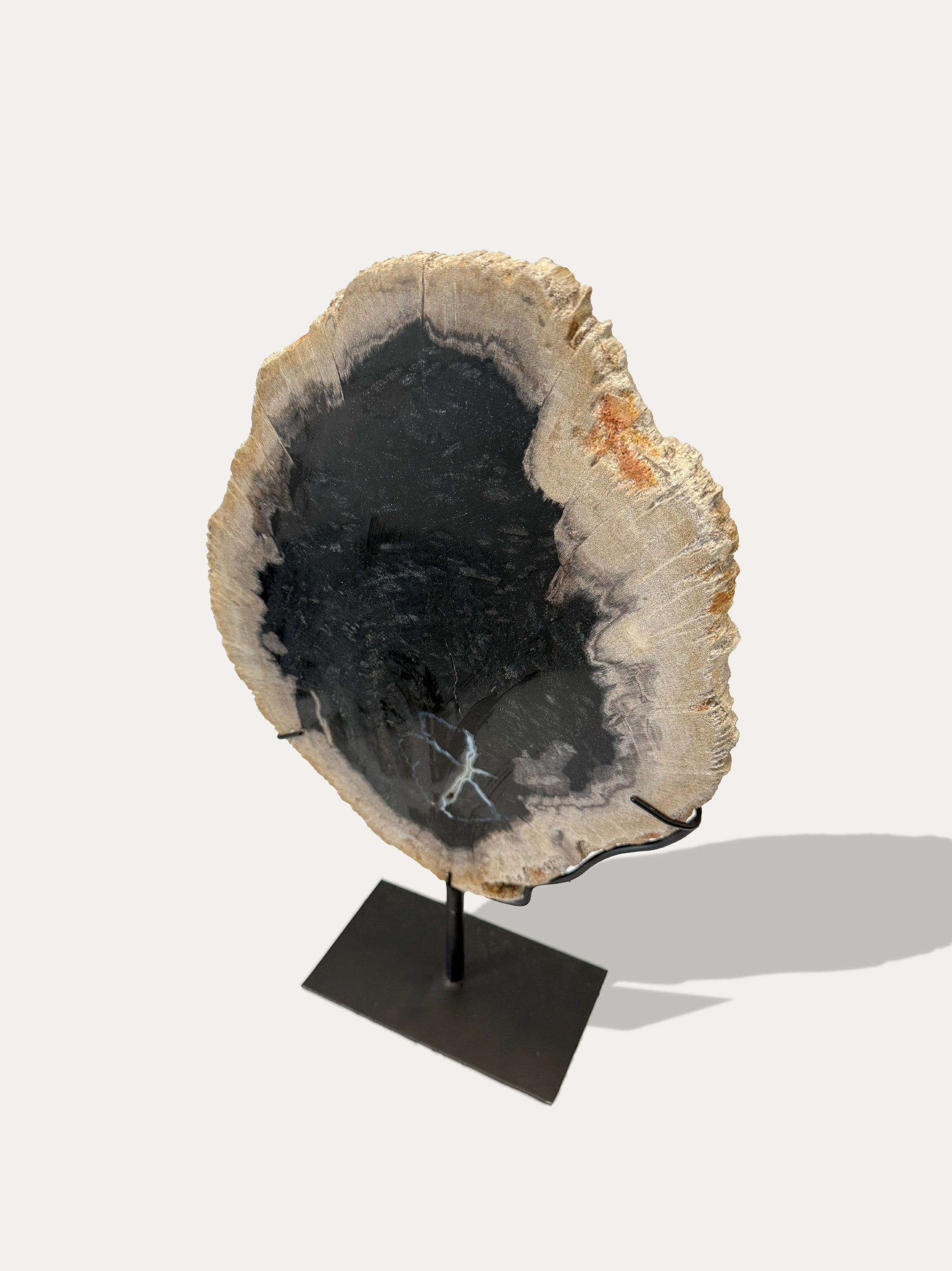 Scultura e Vassoio in Legno Pietrificato