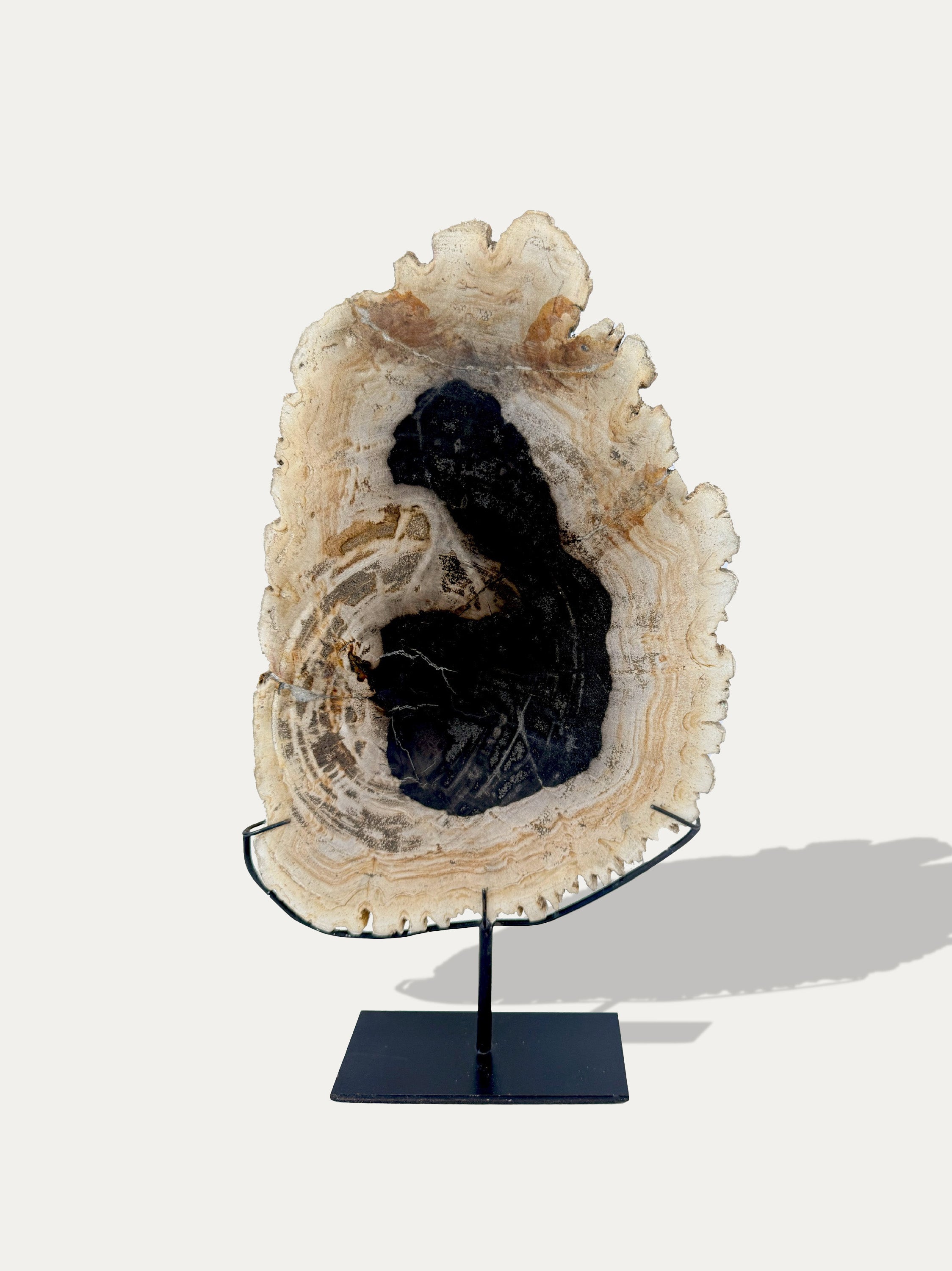 luxury-petrified-wood-sculpture-tray-from-indonesia-lake-como