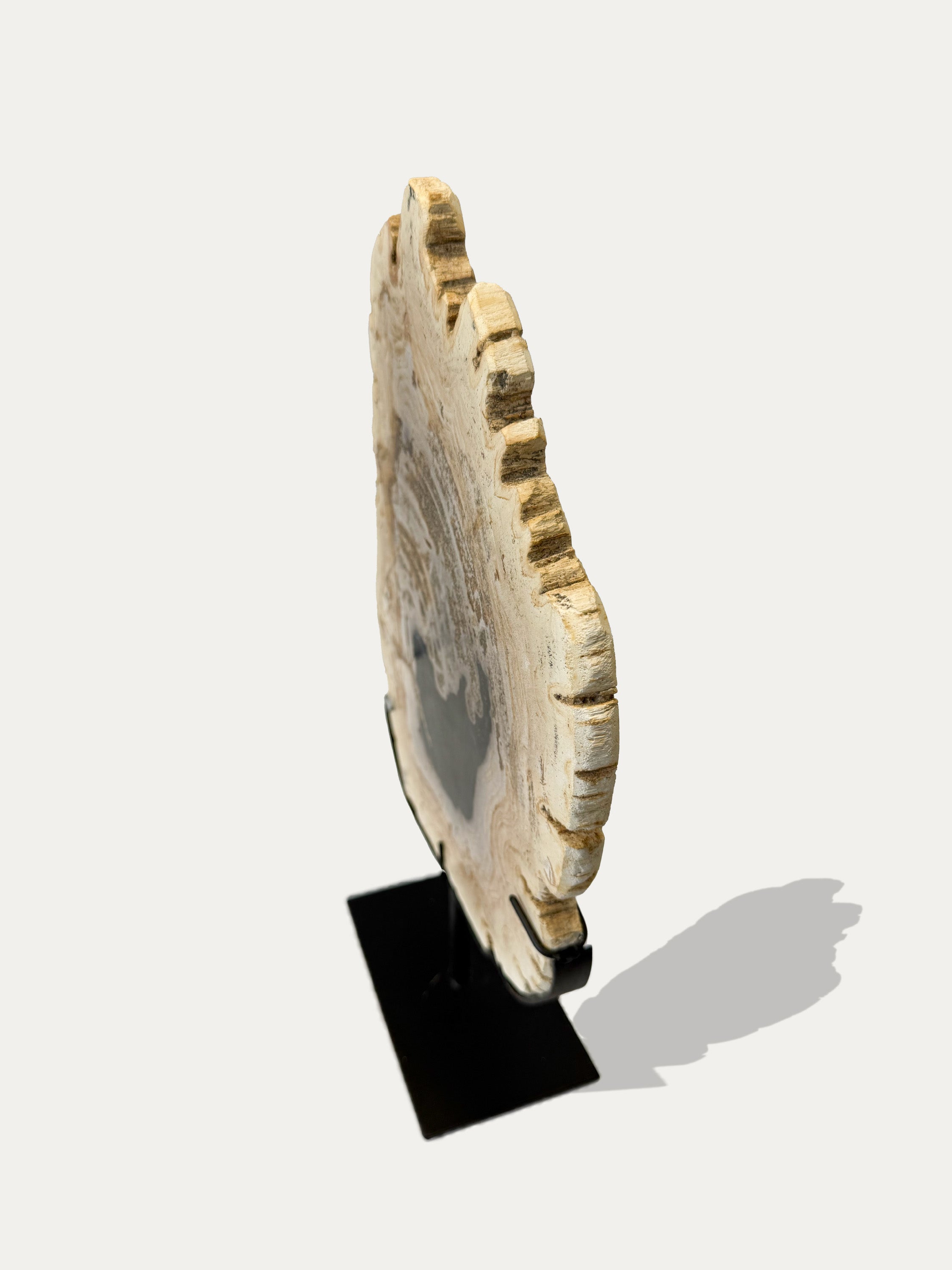 Petrified Wood Trays | Stone Decor from Lake Como | Kirschon